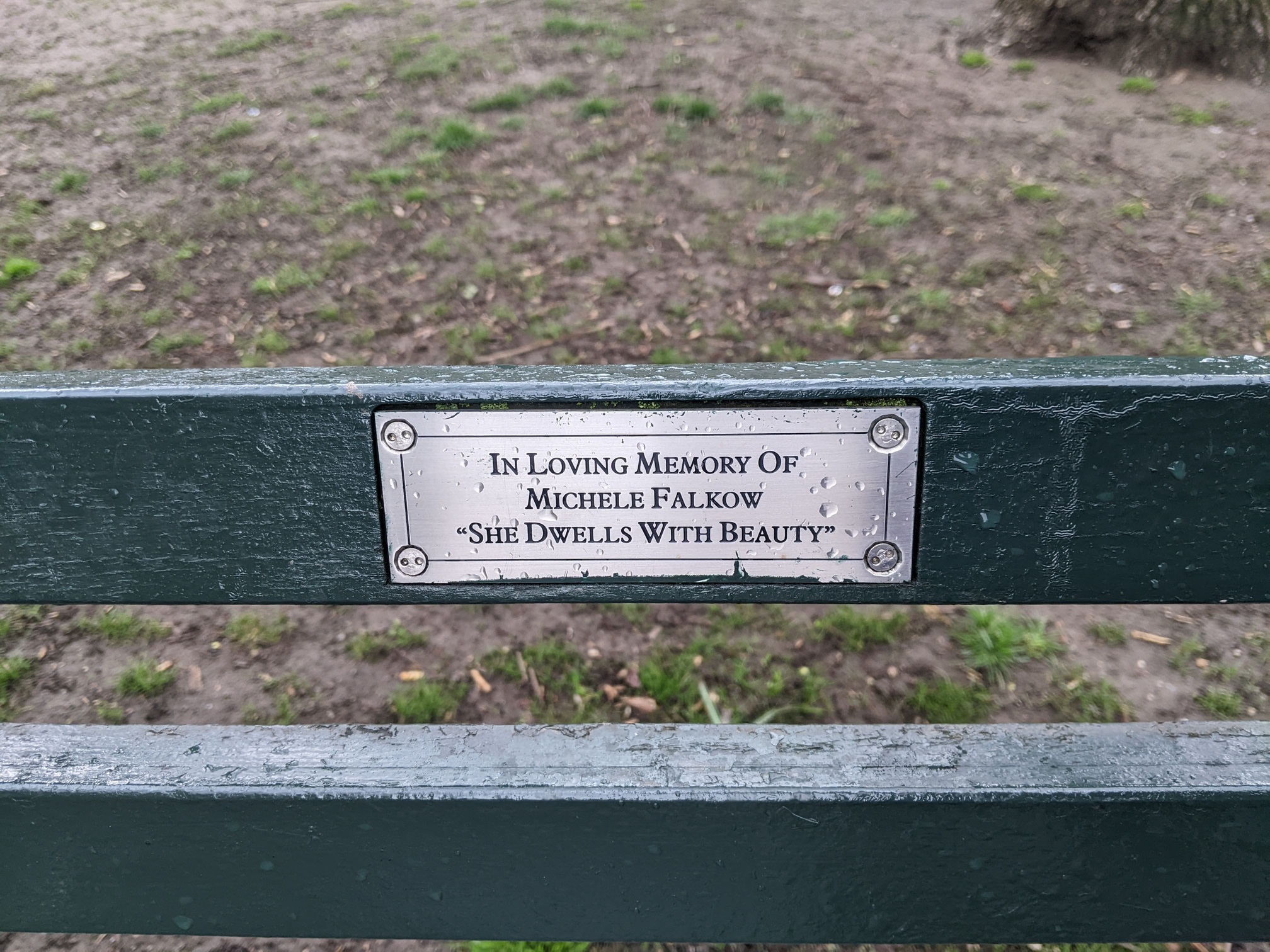 I saw this bench in Central Park