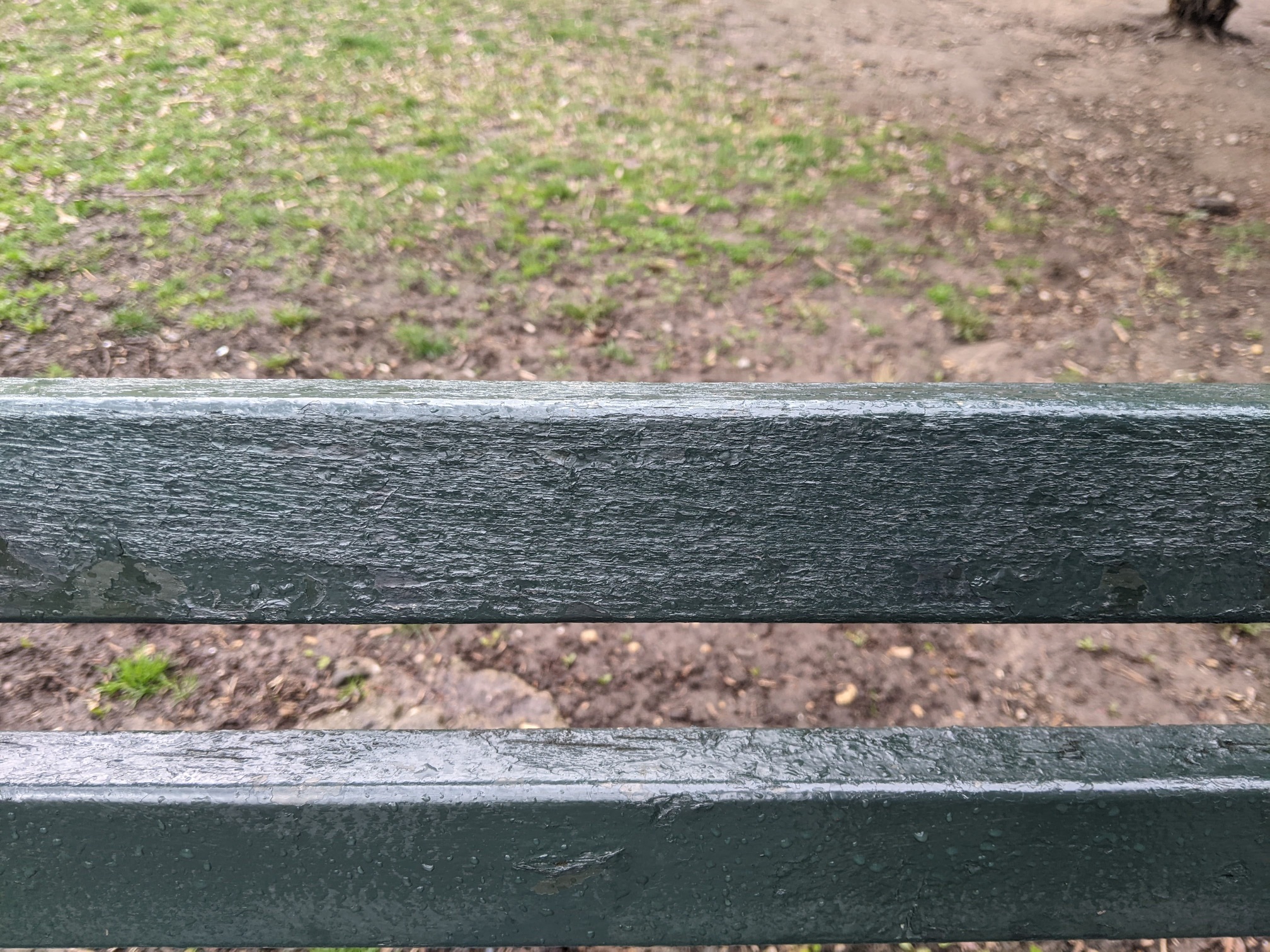 I saw this bench in Central Park