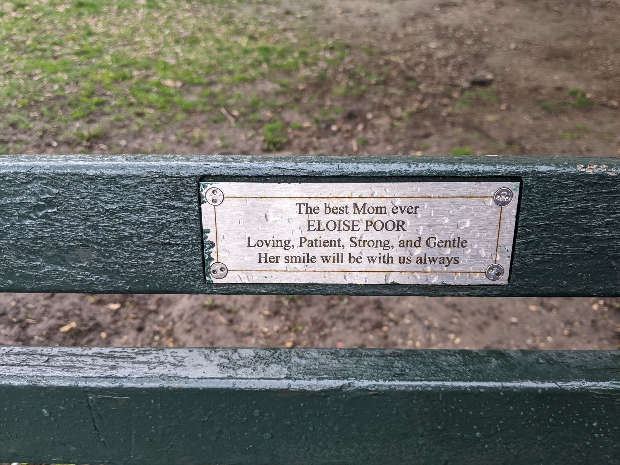 I saw this bench in Central Park