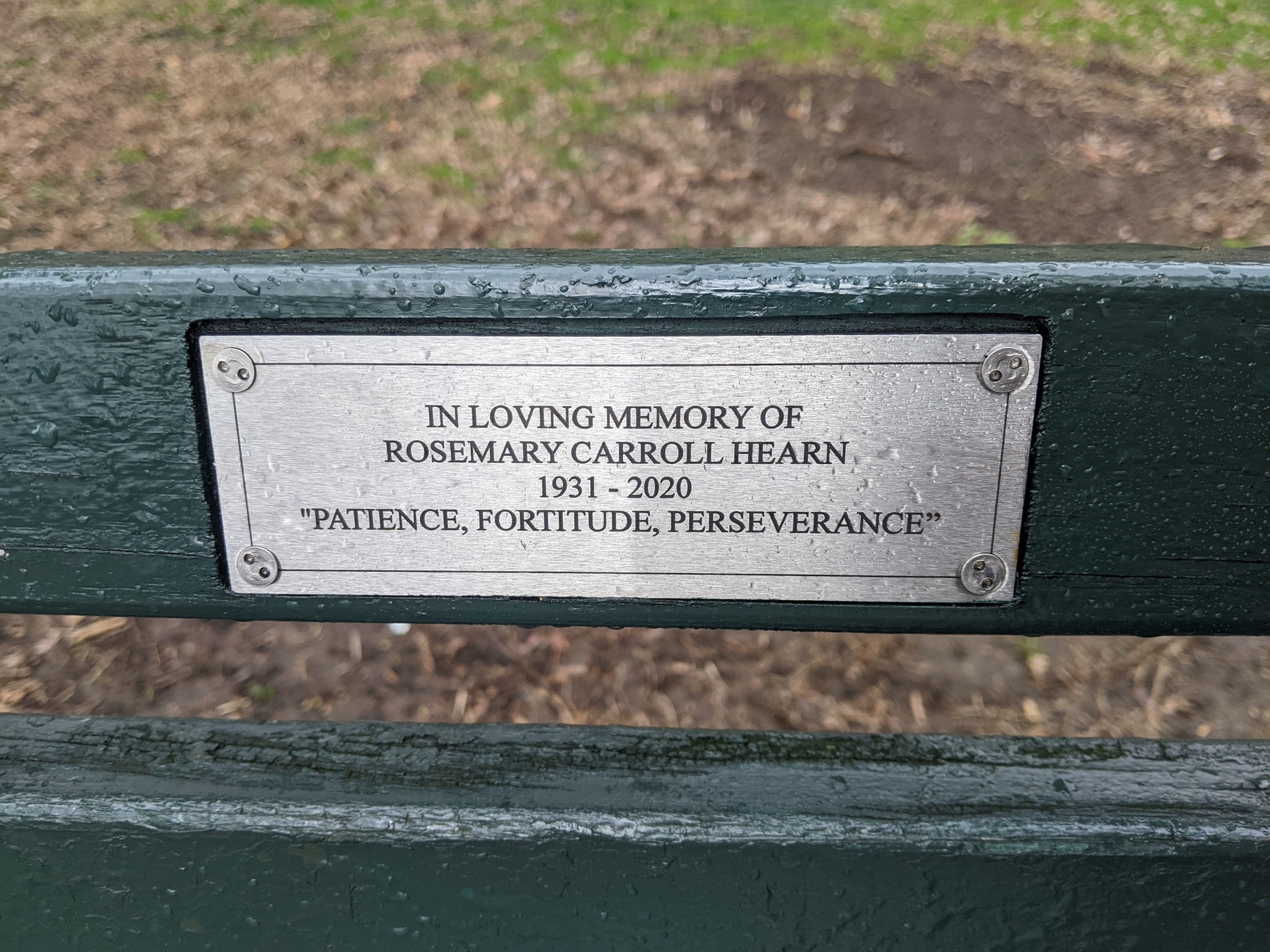 I saw this bench in Central Park