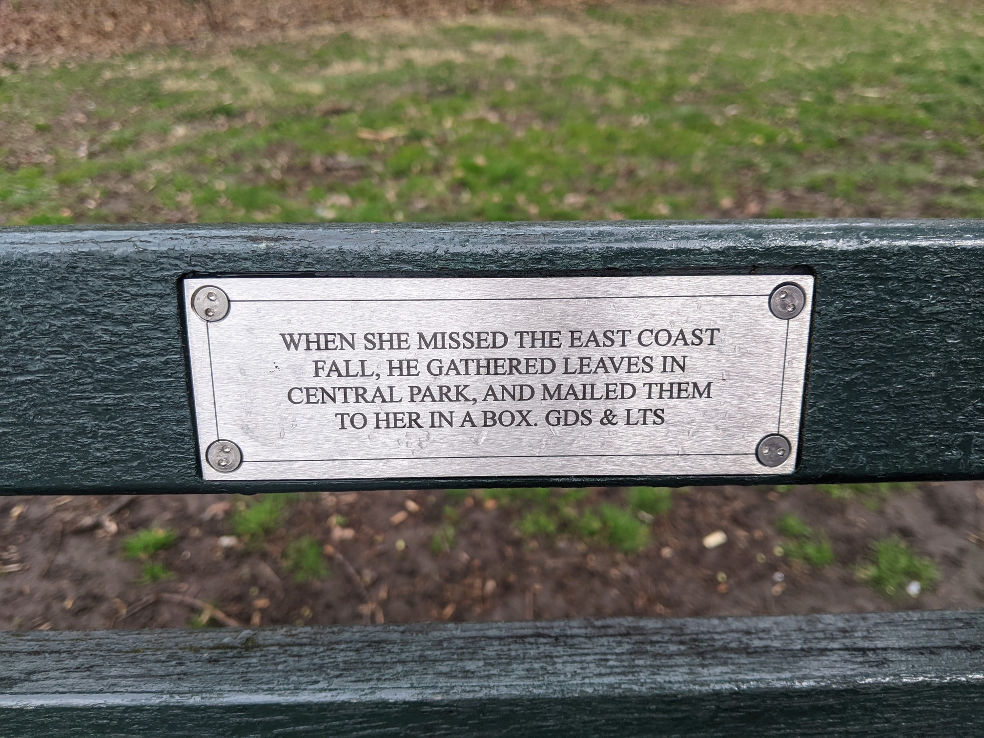 I saw this bench in Central Park