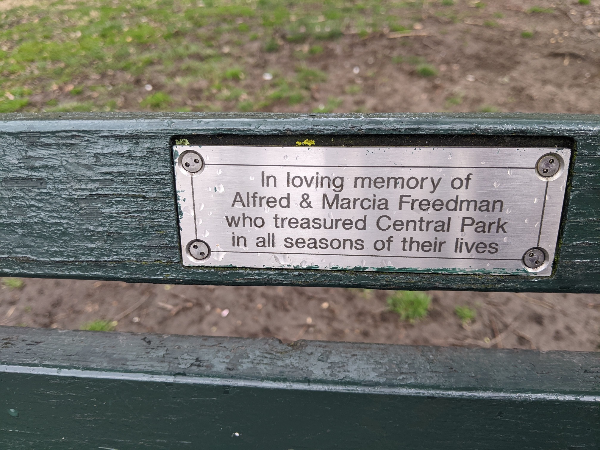 I saw this bench in Central Park