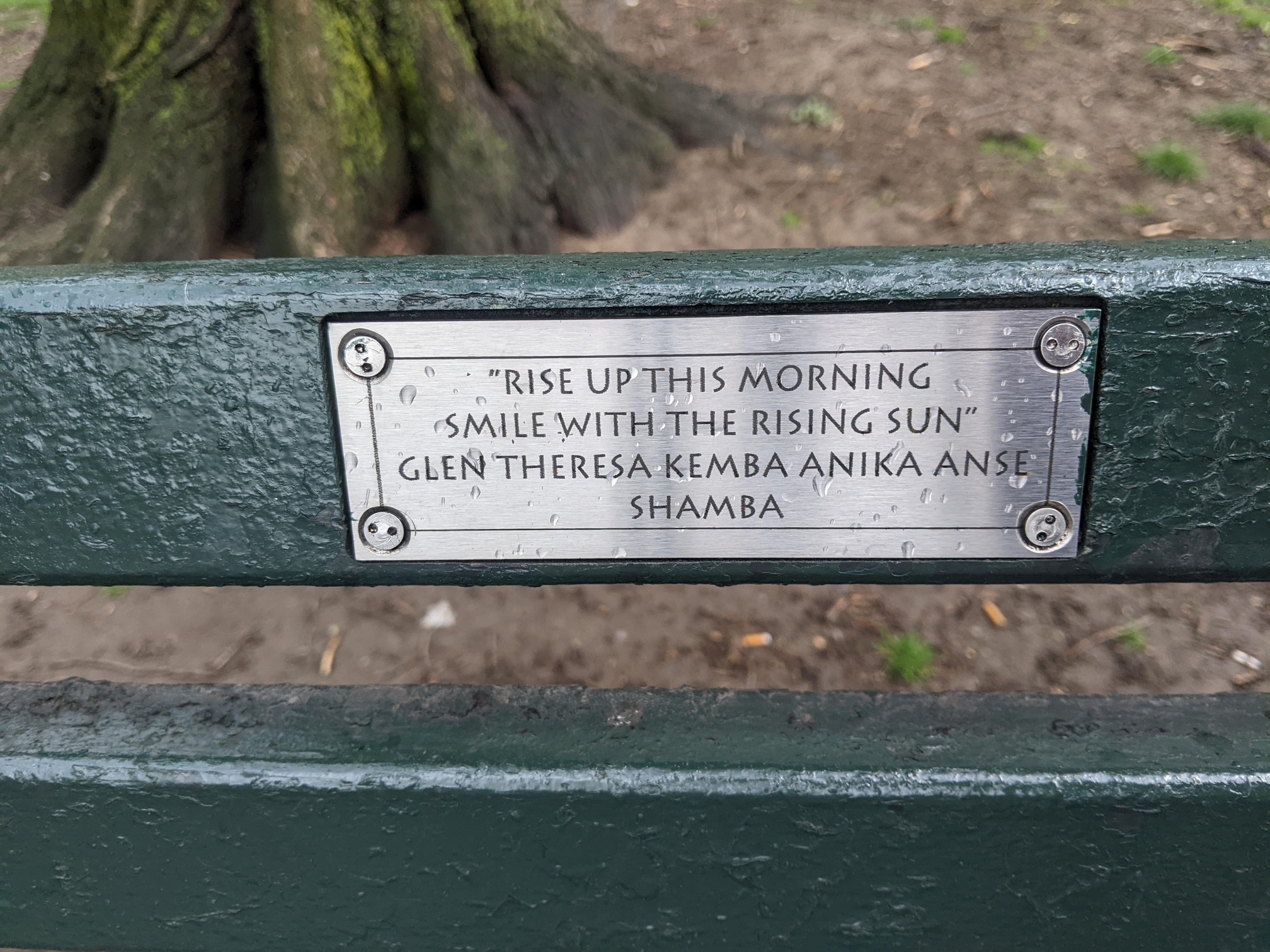 I saw this bench in Central Park