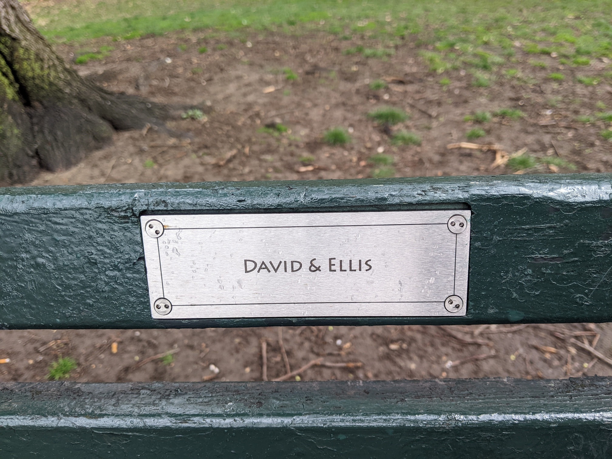 I saw this bench in Central Park