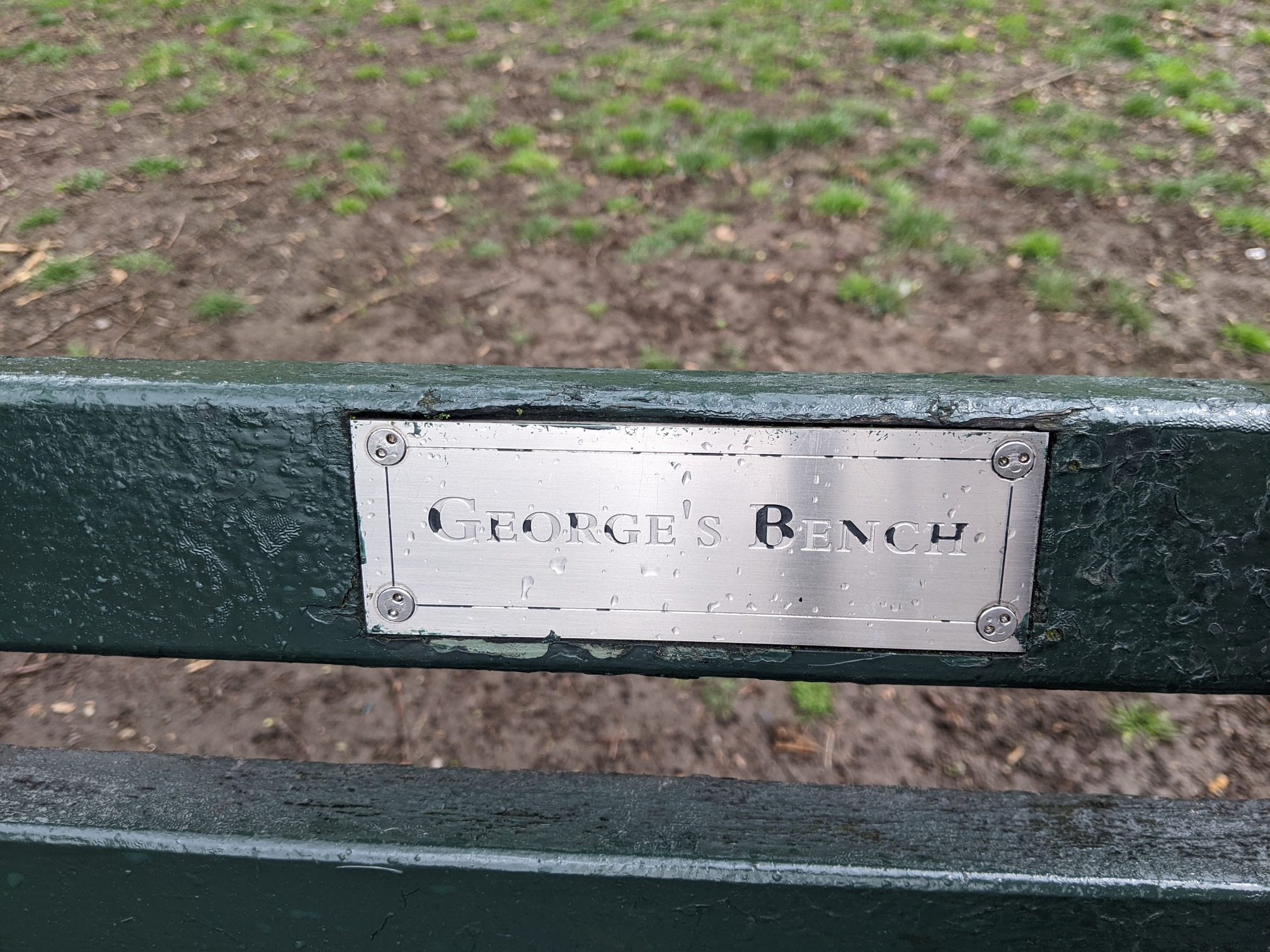 I saw this bench in Central Park