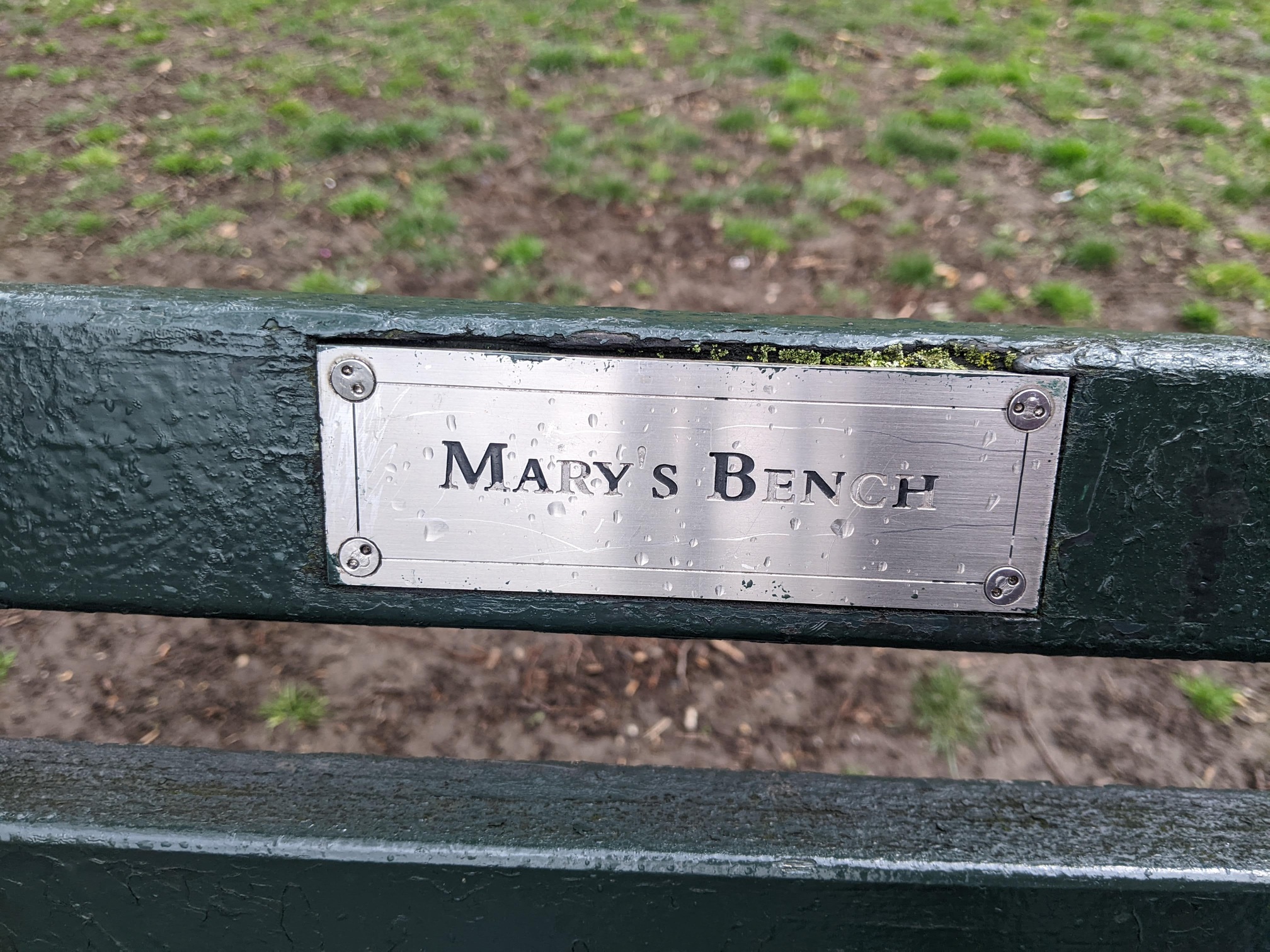 I saw this bench in Central Park