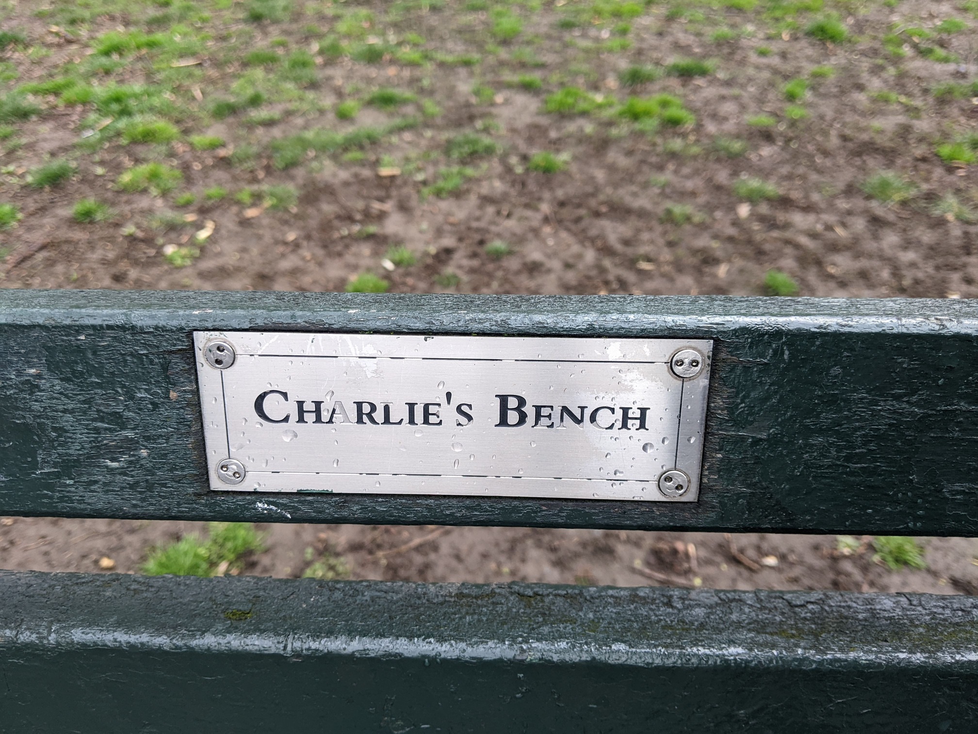 I saw this bench in Central Park