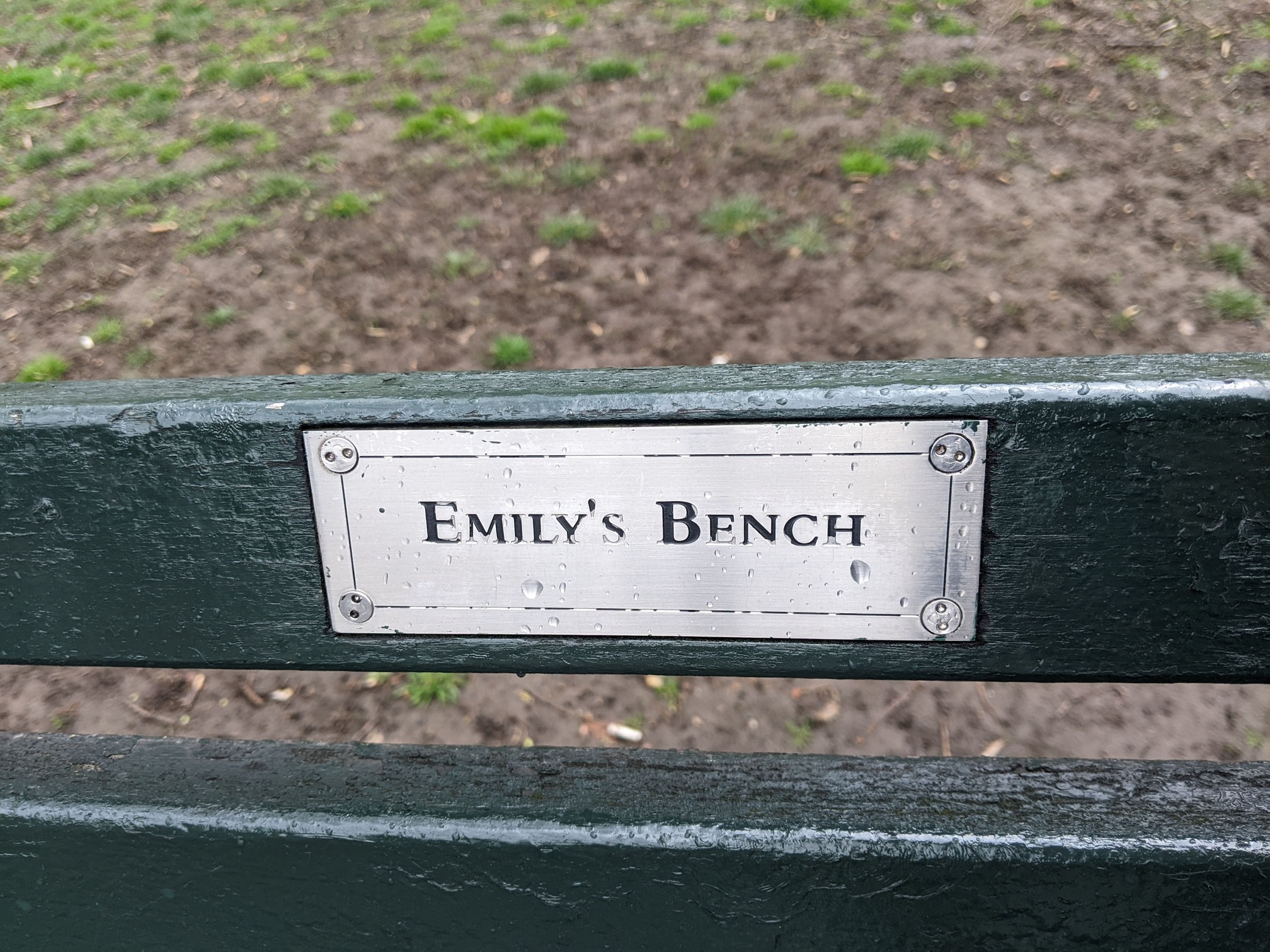 I saw this bench in Central Park