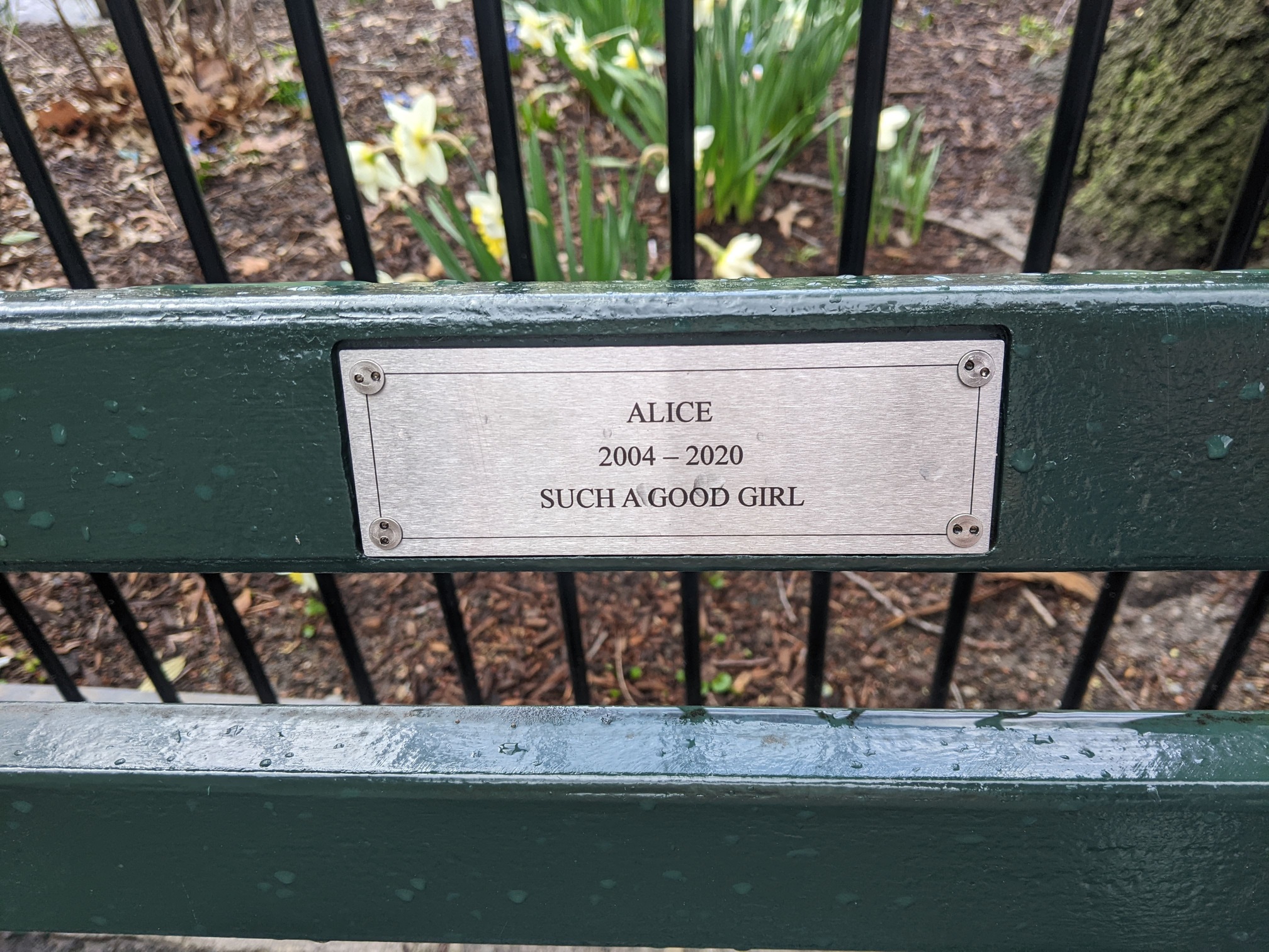 I saw this bench in Central Park