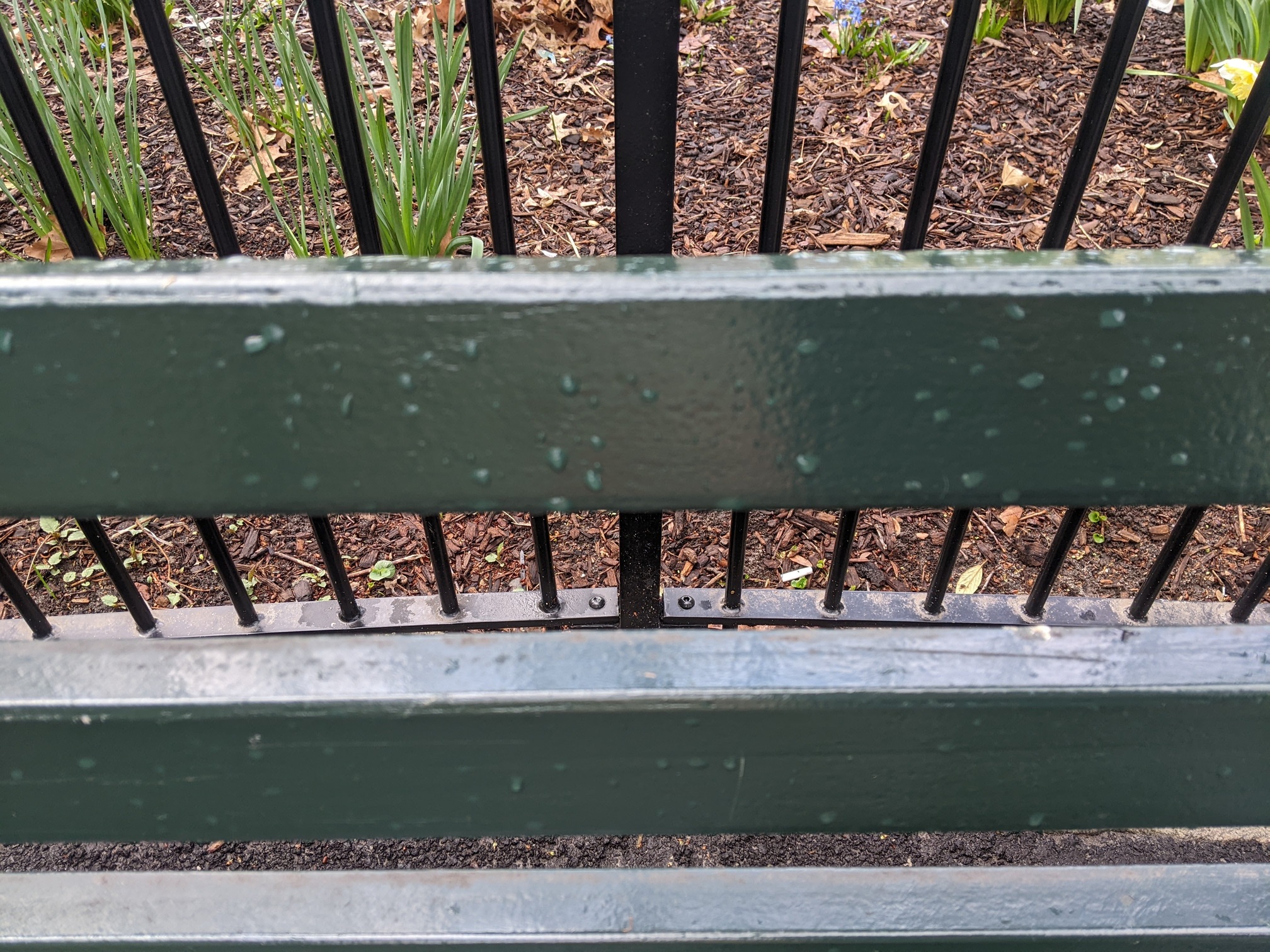 I saw this bench in Central Park