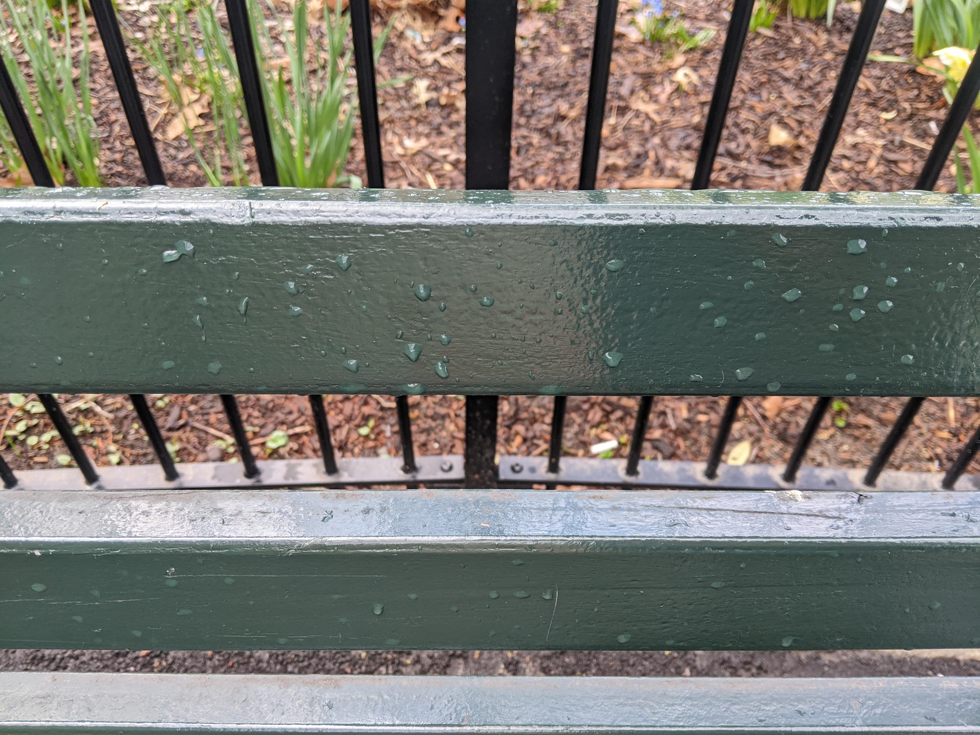 I saw this bench in Central Park