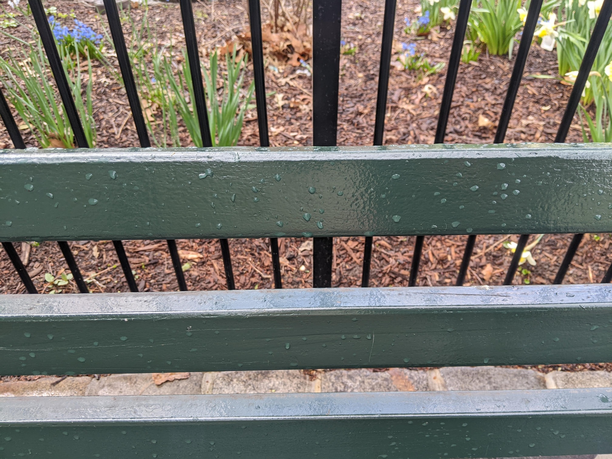 I saw this bench in Central Park