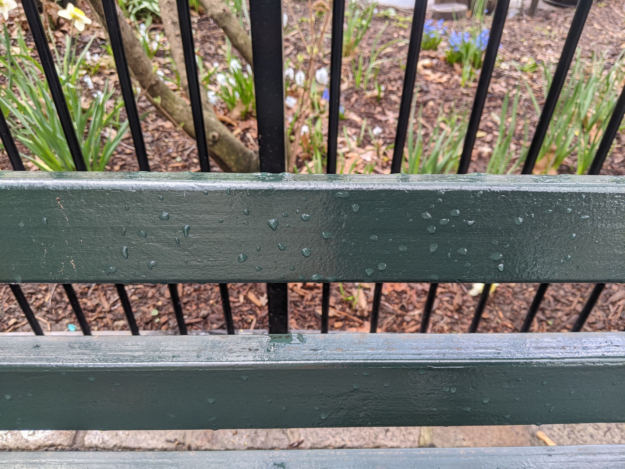 I saw this bench in Central Park