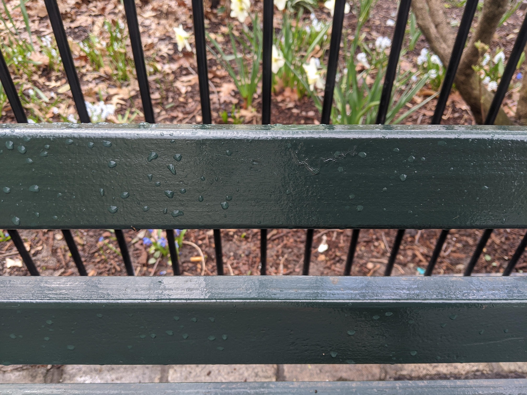 I saw this bench in Central Park