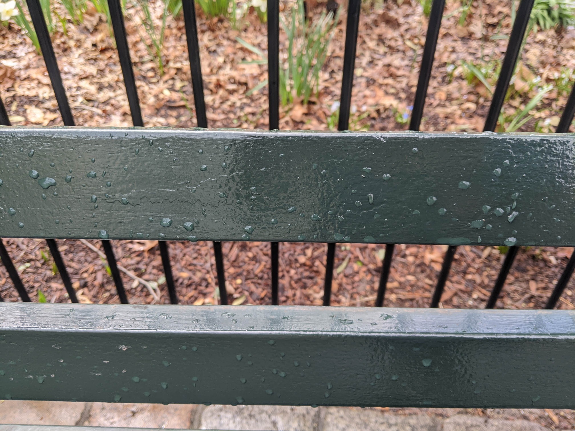 I saw this bench in Central Park