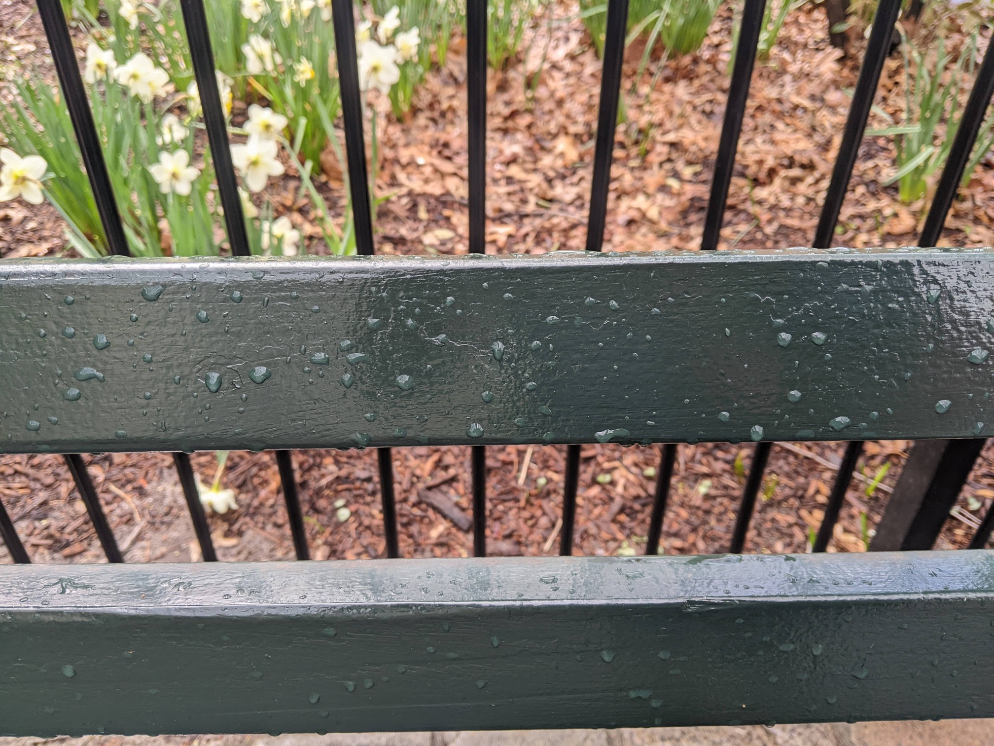 I saw this bench in Central Park