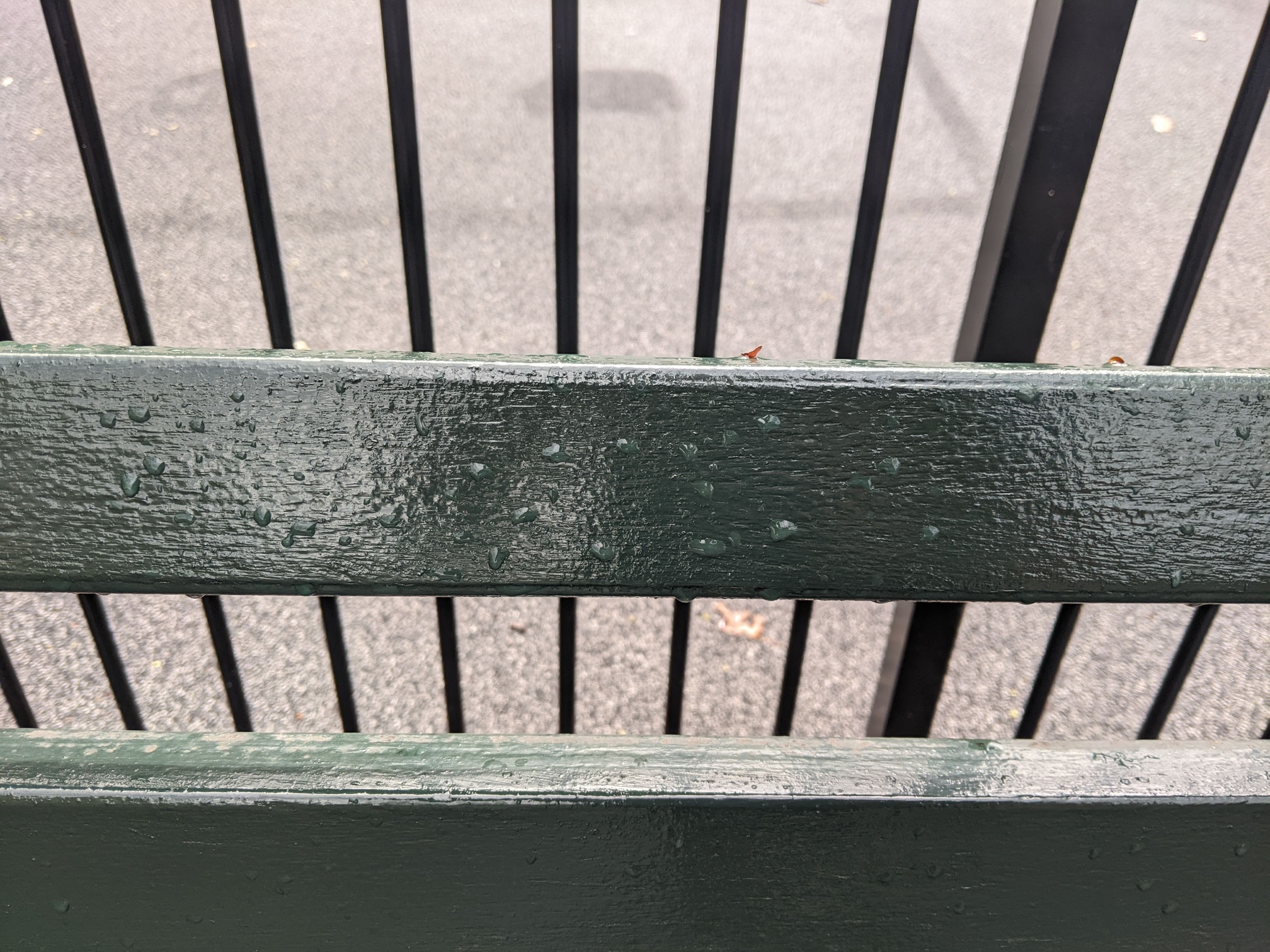 I saw this bench in Central Park