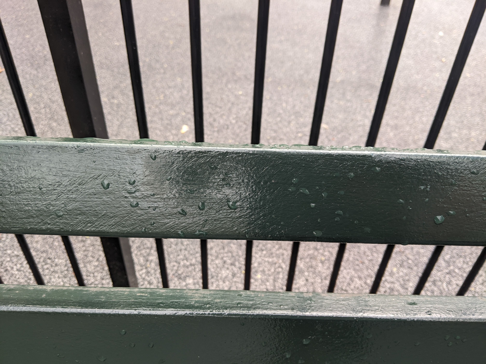 I saw this bench in Central Park