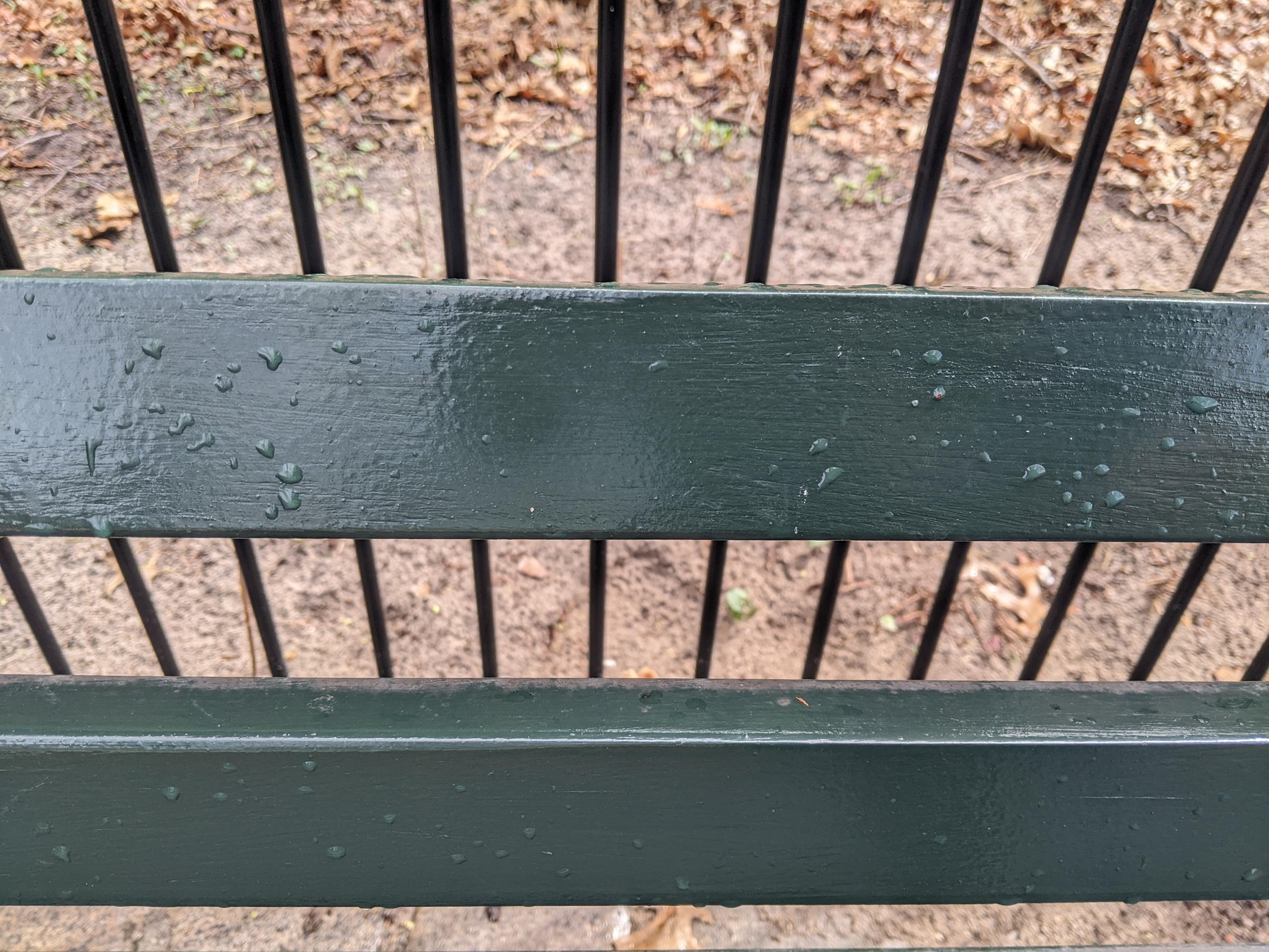 I saw this bench in Central Park