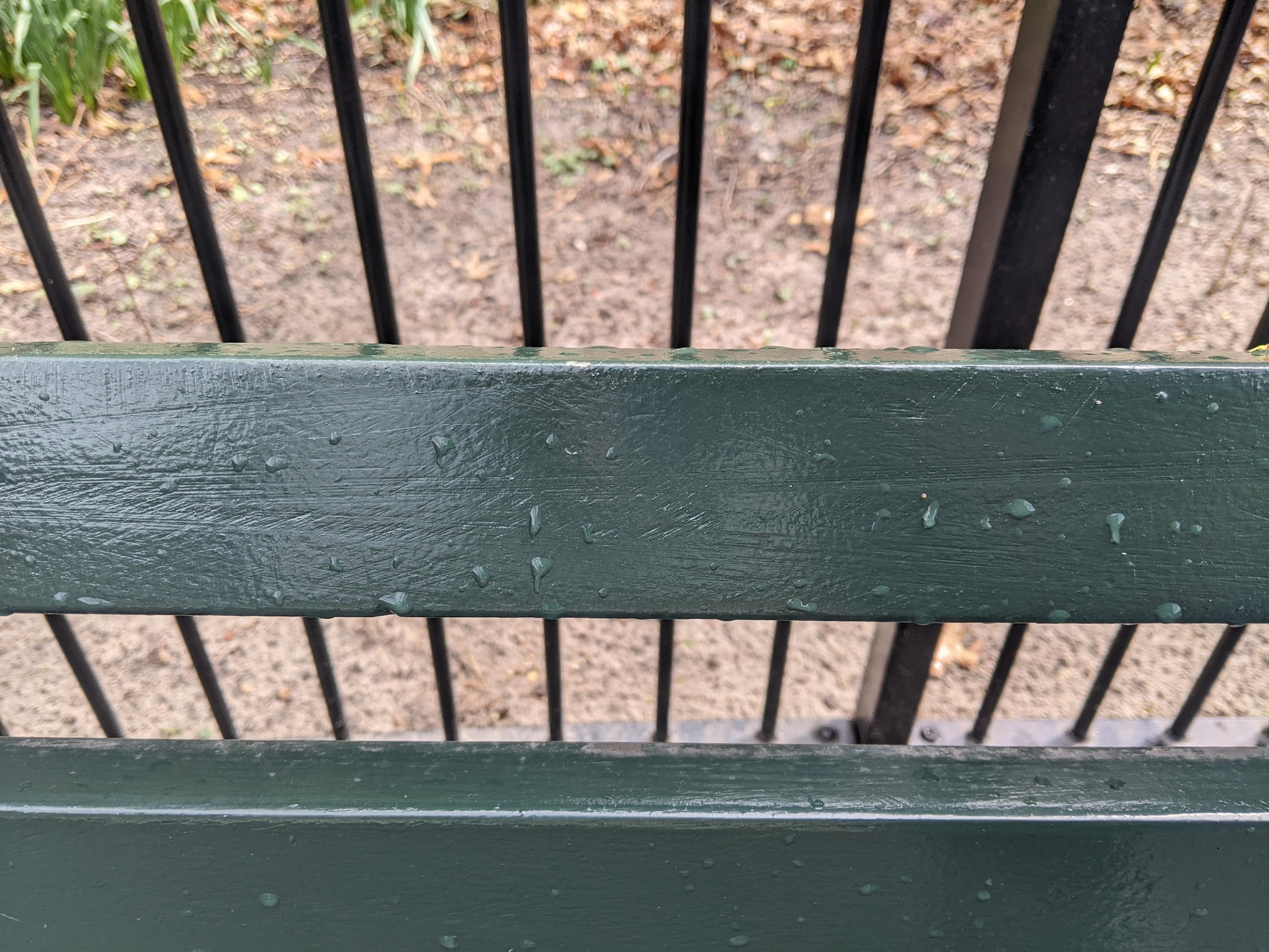 I saw this bench in Central Park