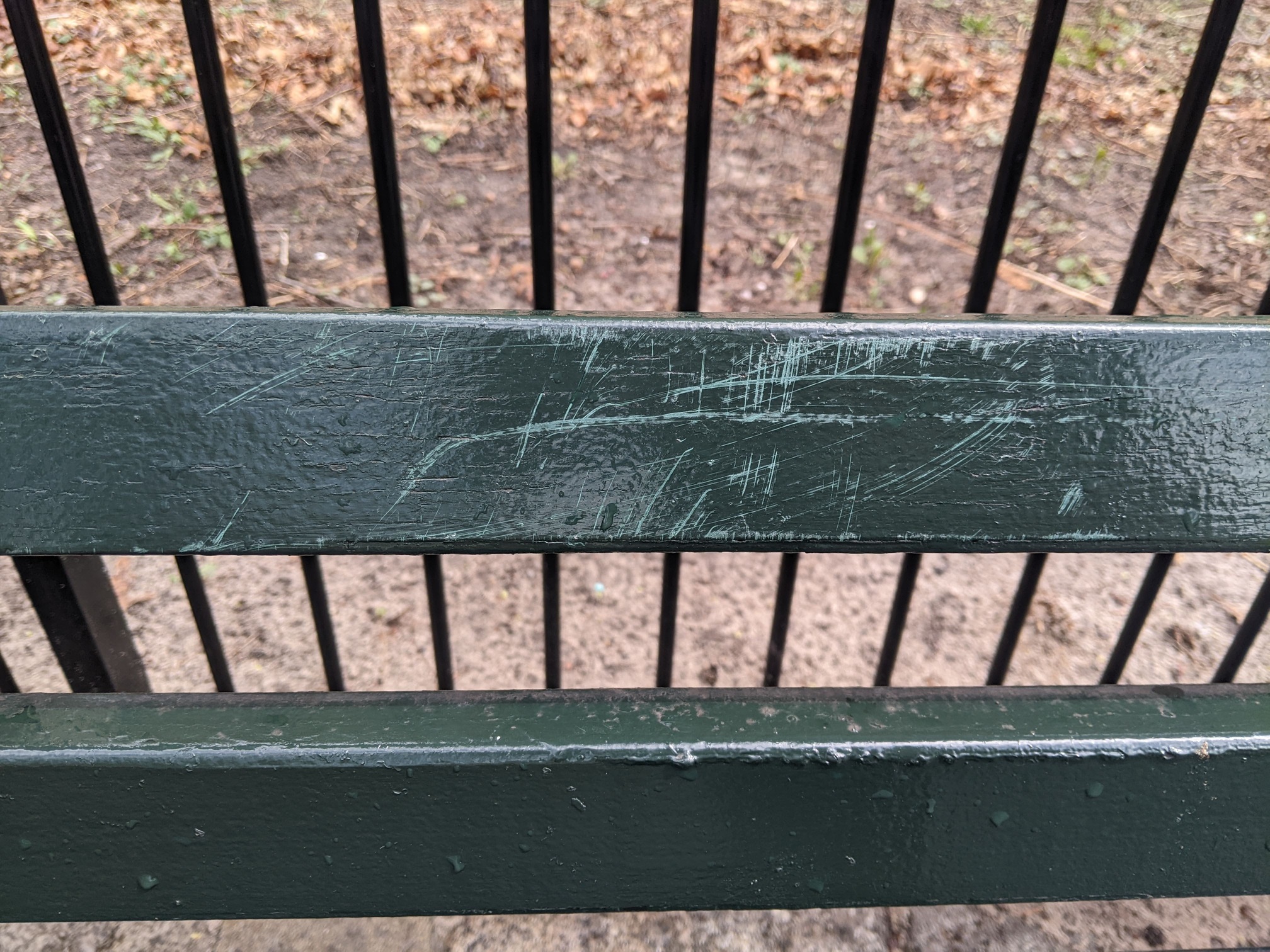 I saw this bench in Central Park