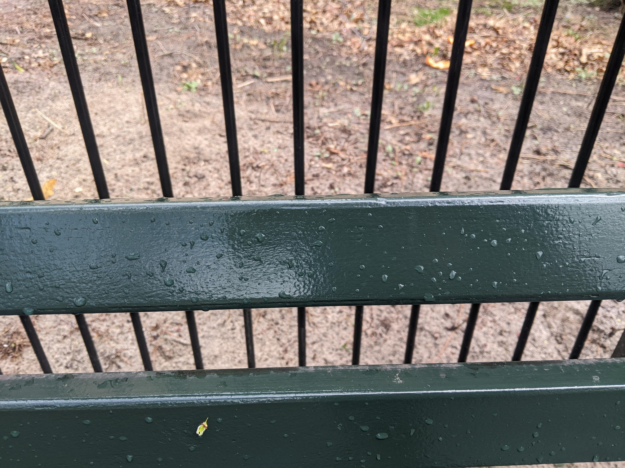 I saw this bench in Central Park