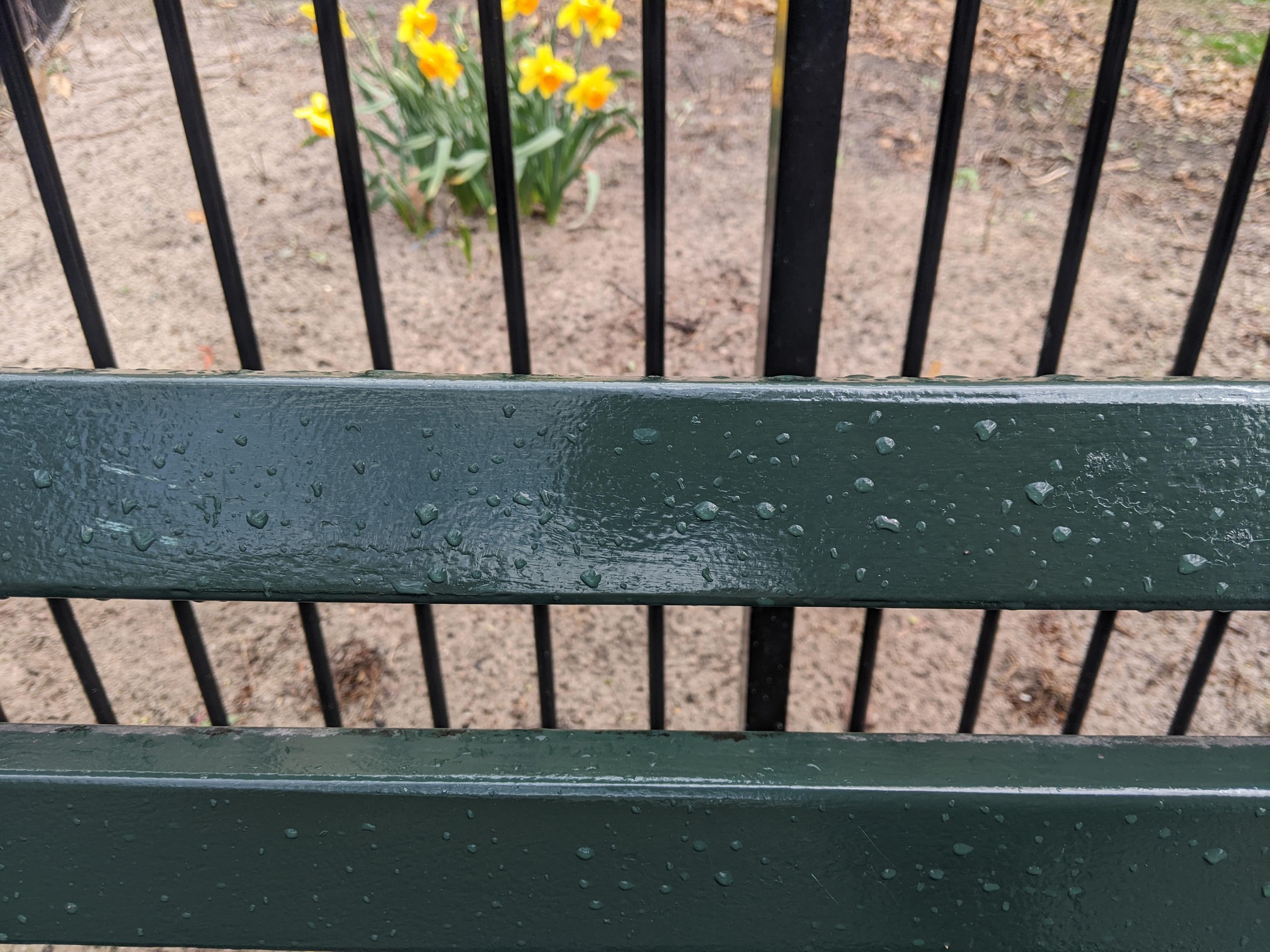 I saw this bench in Central Park