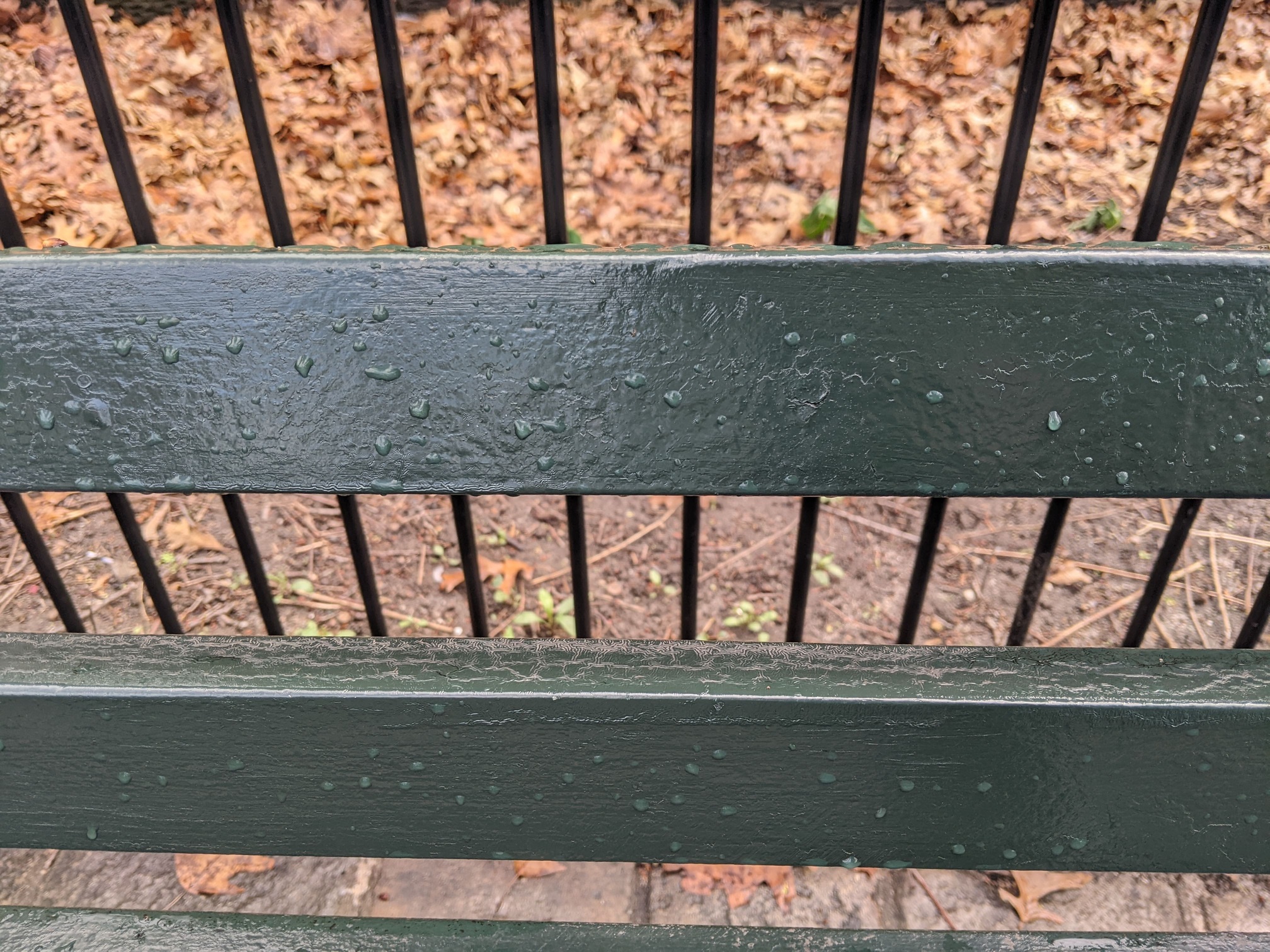 I saw this bench in Central Park