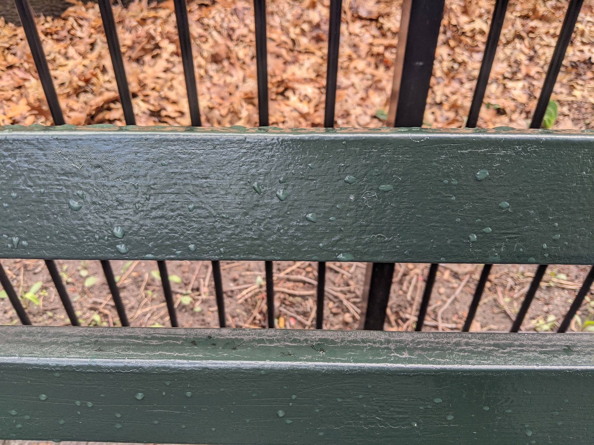 I saw this bench in Central Park