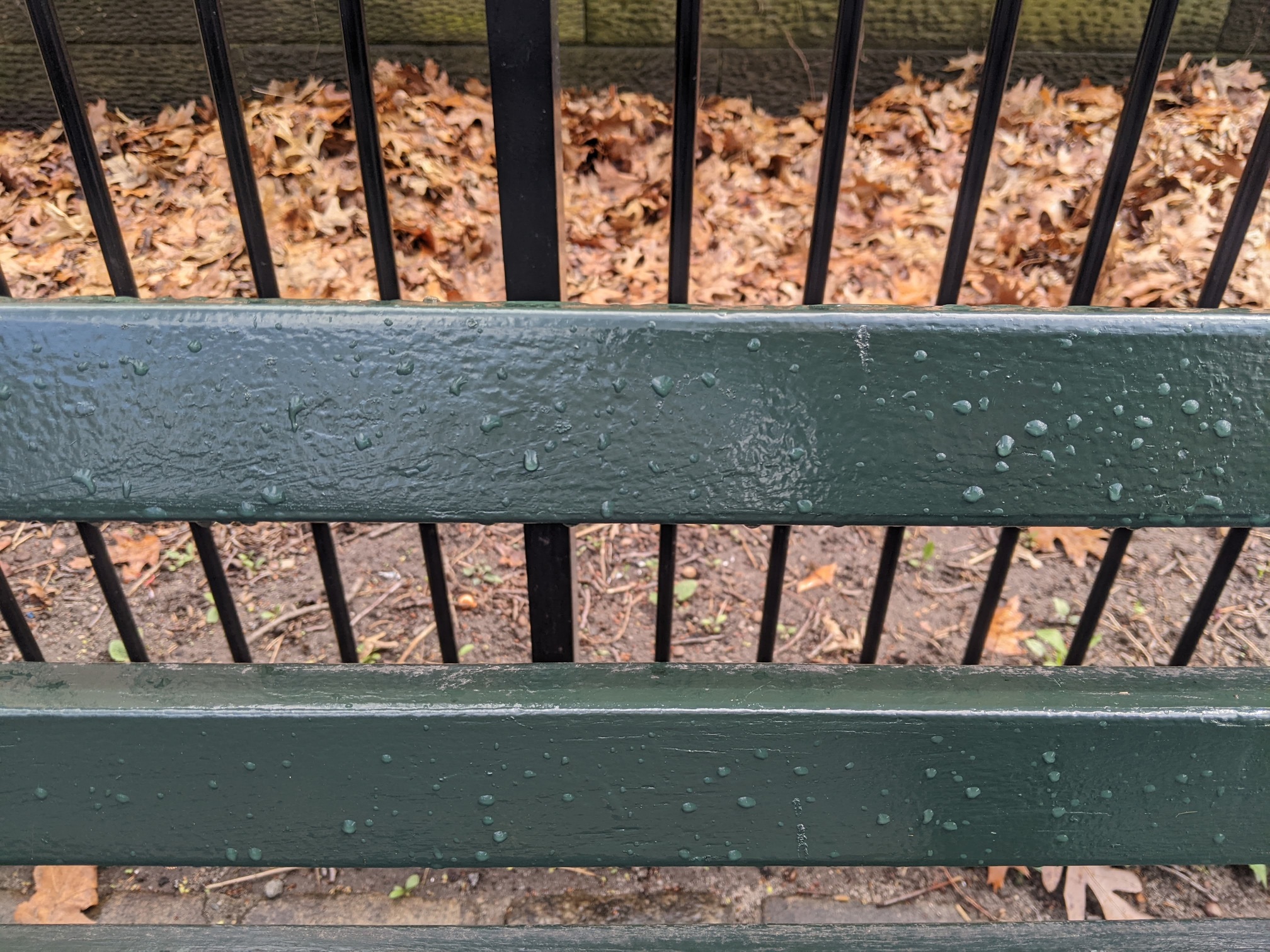 I saw this bench in Central Park