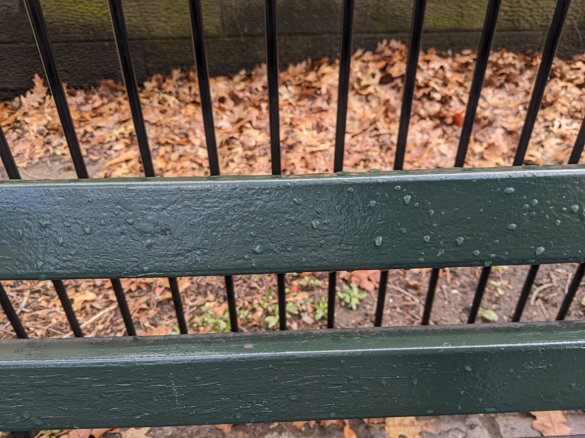 I saw this bench in Central Park