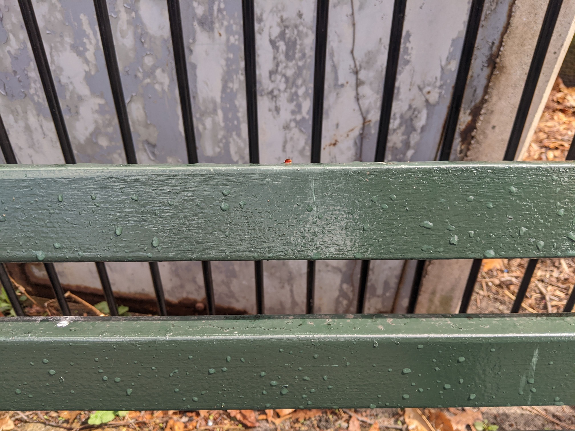 I saw this bench in Central Park