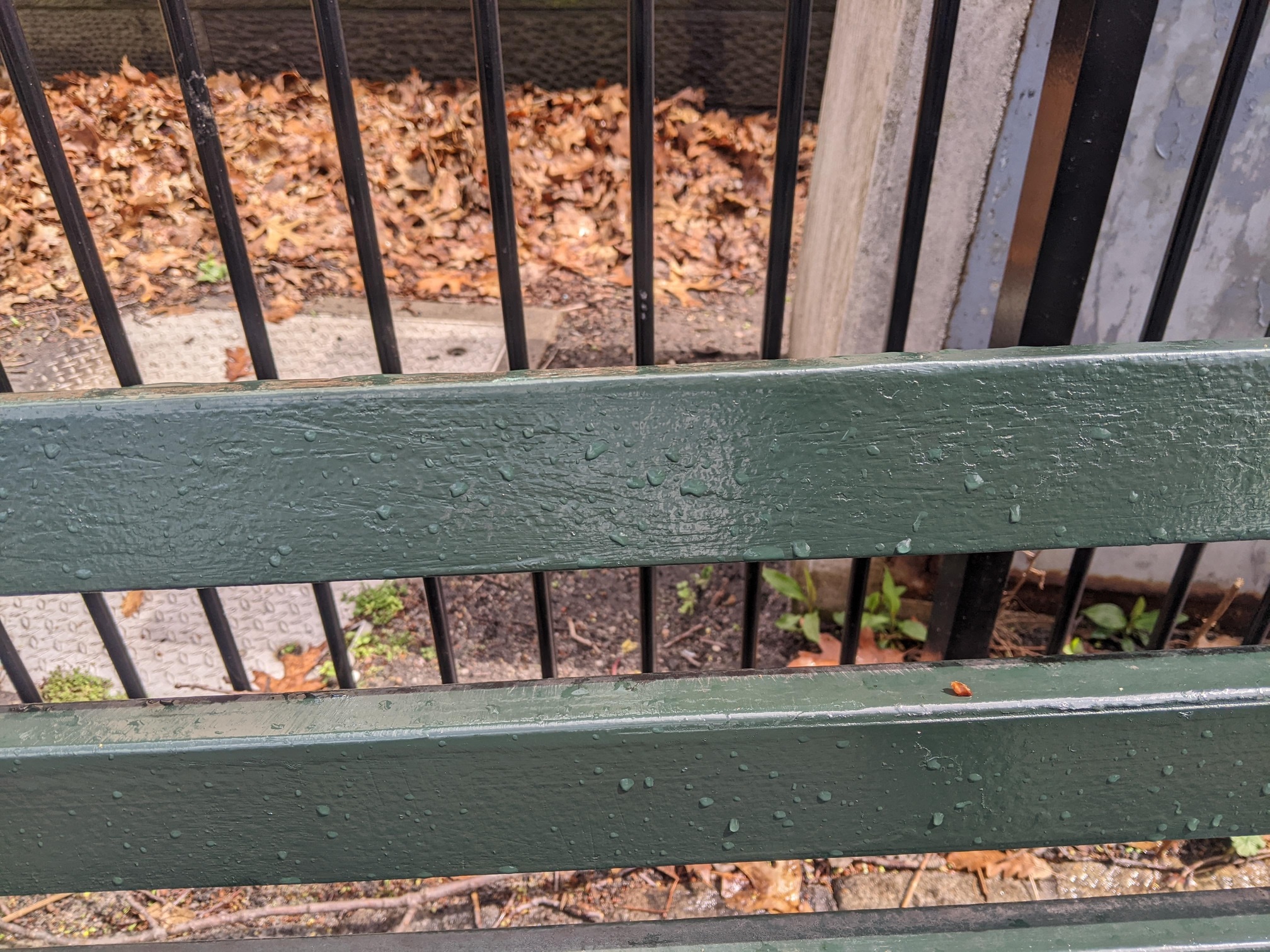 I saw this bench in Central Park