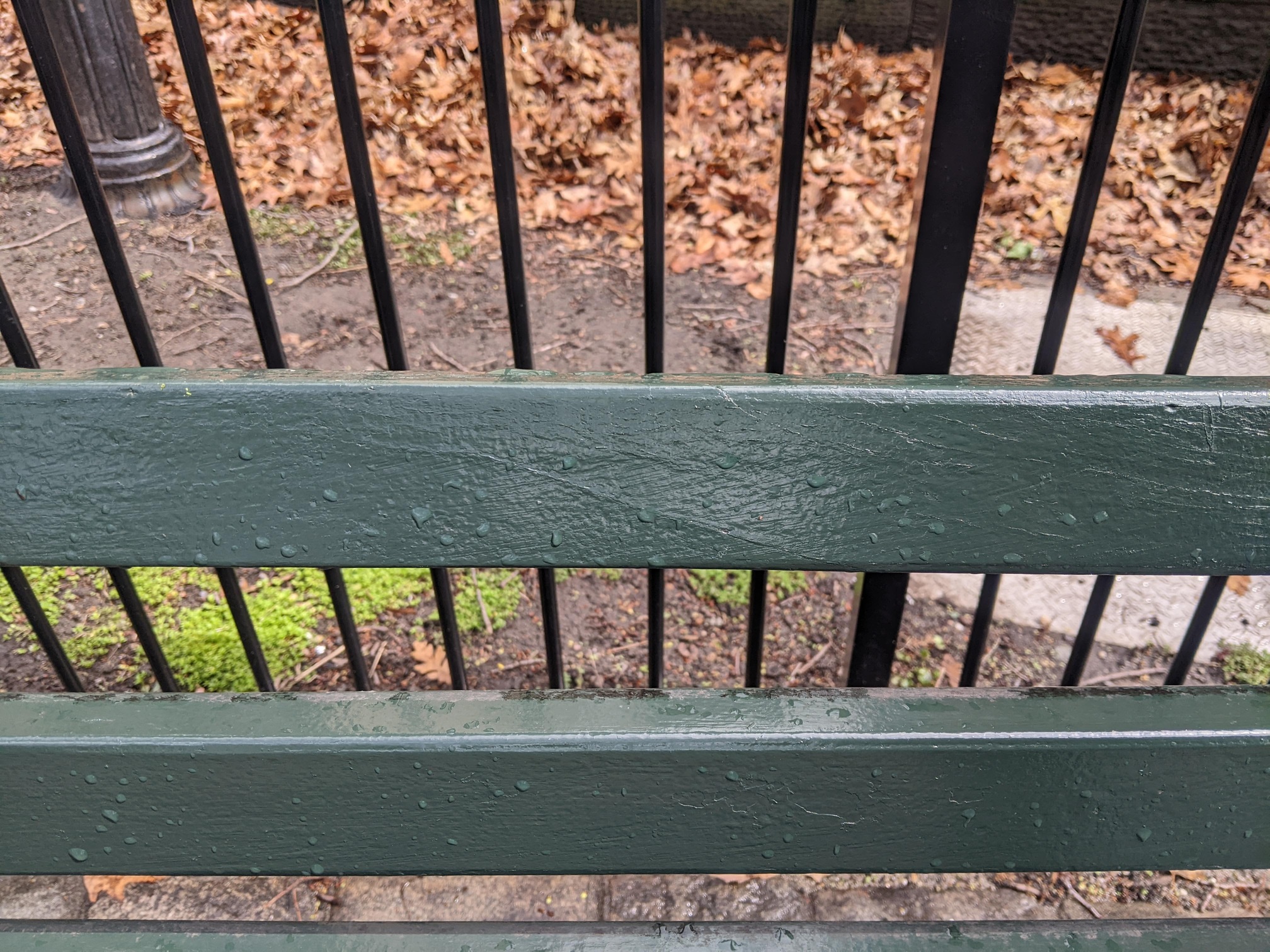 I saw this bench in Central Park