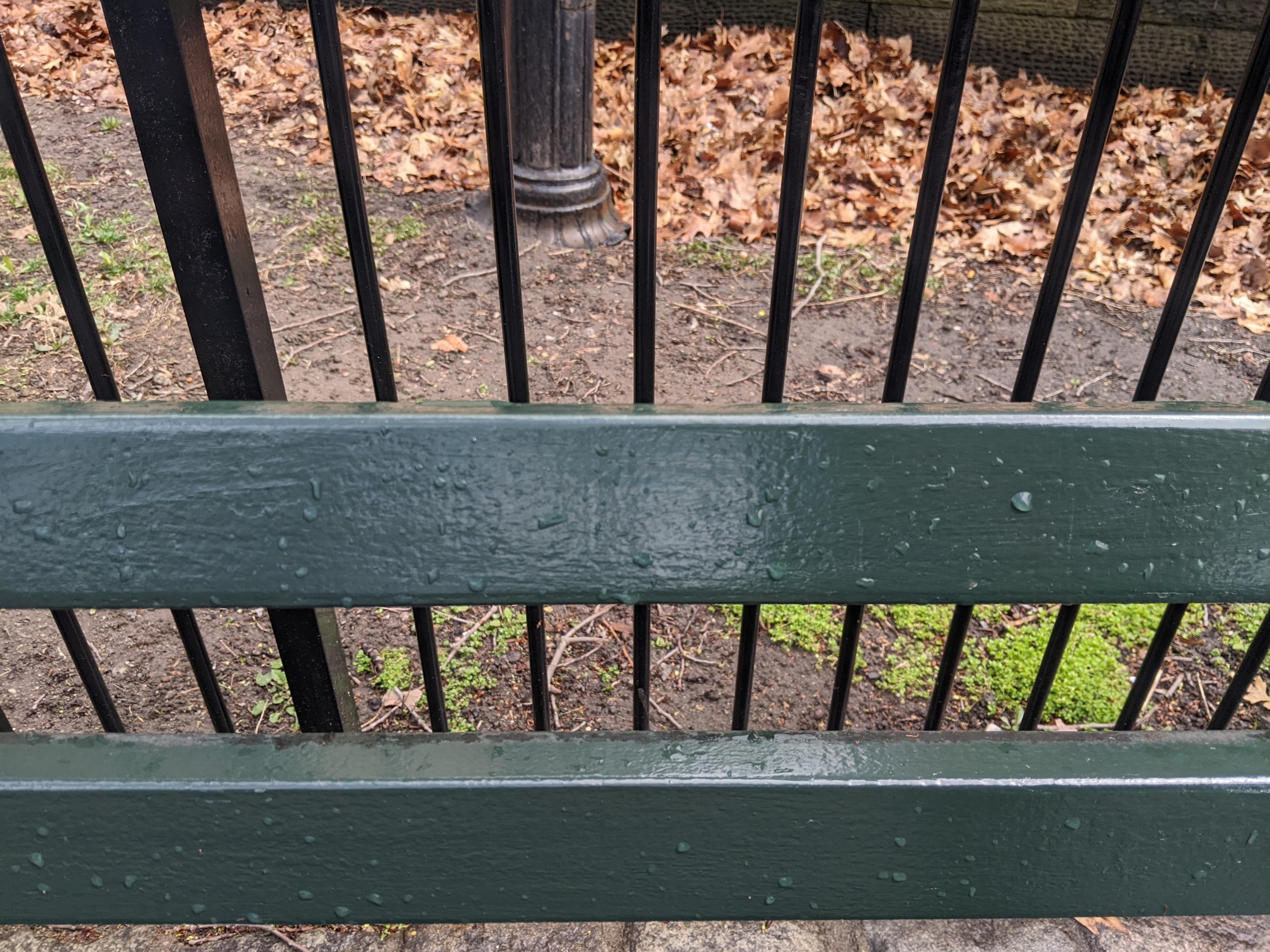 I saw this bench in Central Park