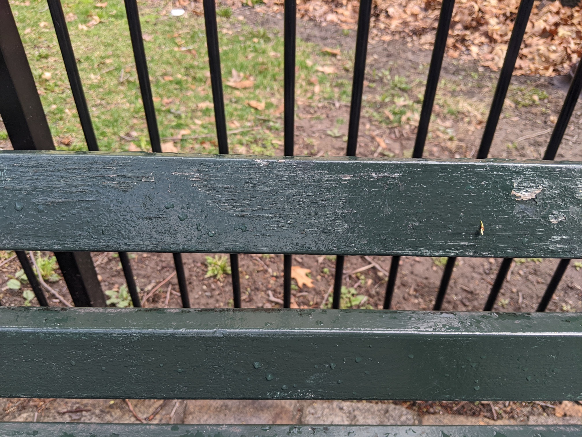 I saw this bench in Central Park