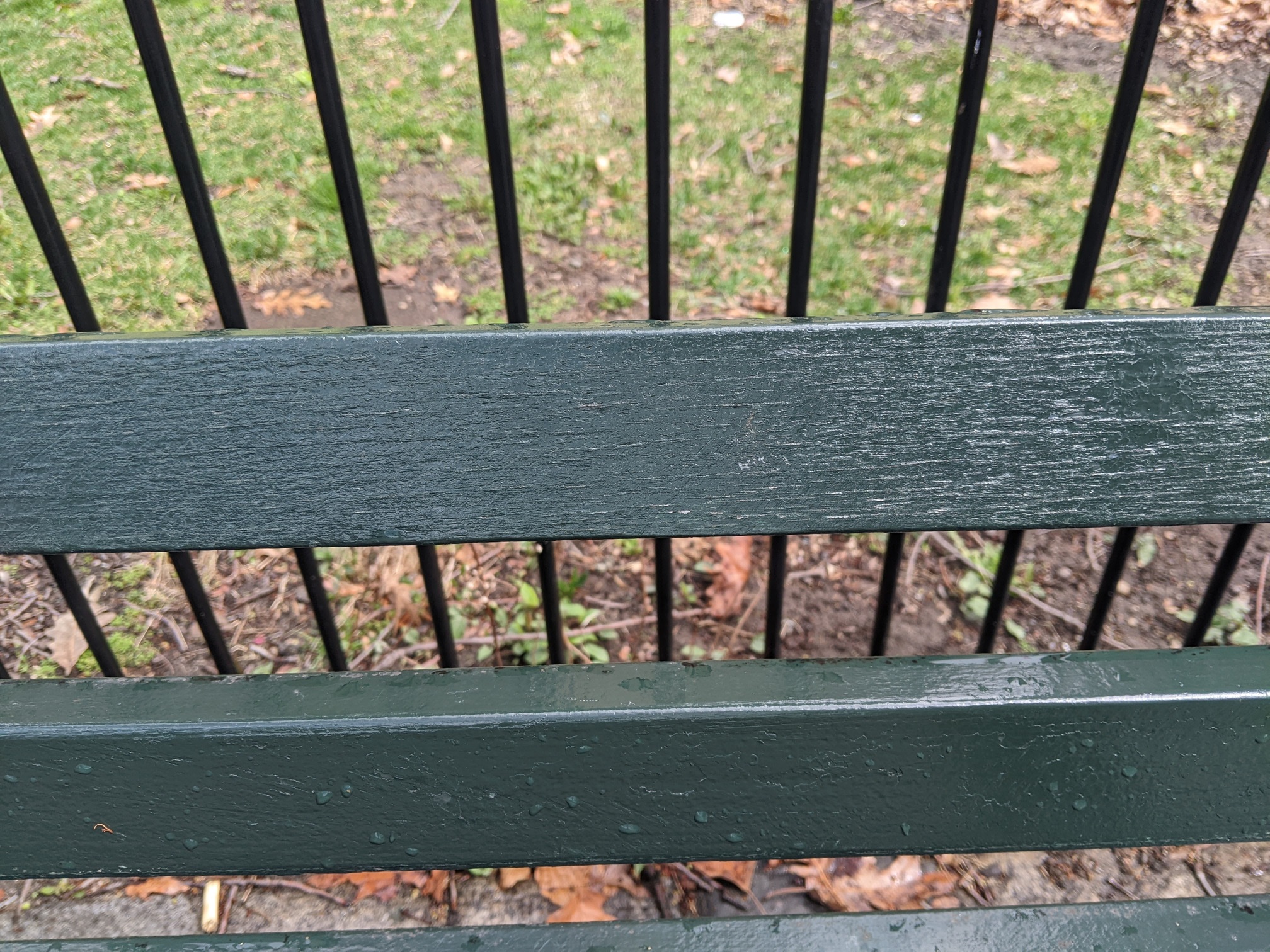 I saw this bench in Central Park