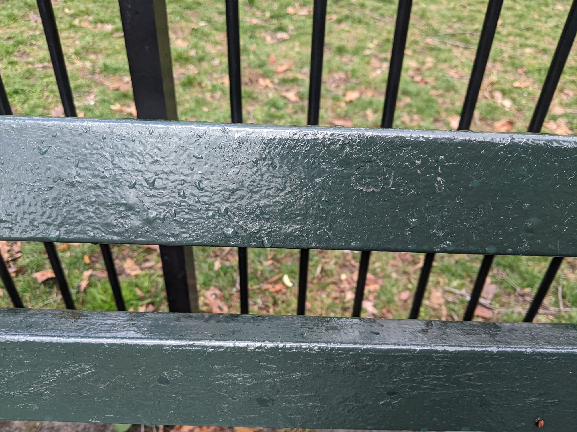 I saw this bench in Central Park