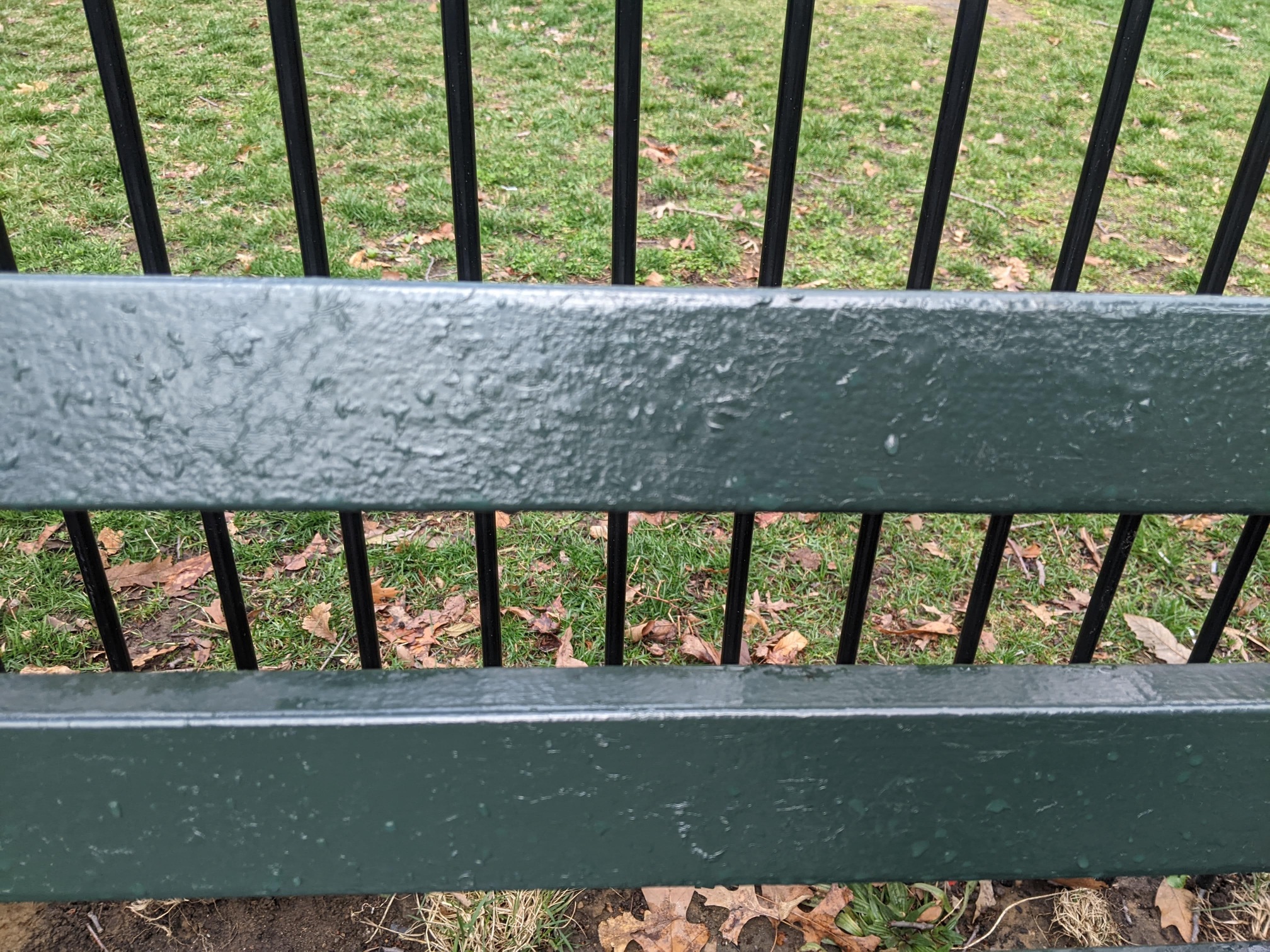 I saw this bench in Central Park