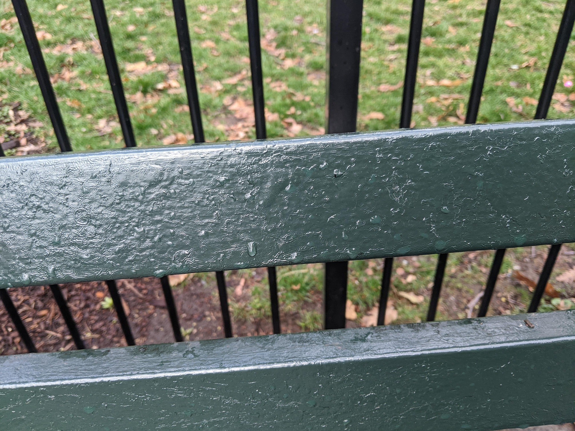 I saw this bench in Central Park