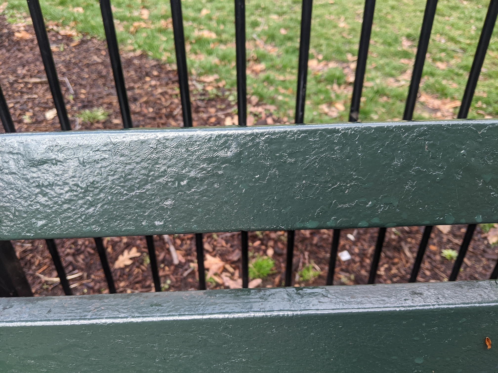 I saw this bench in Central Park