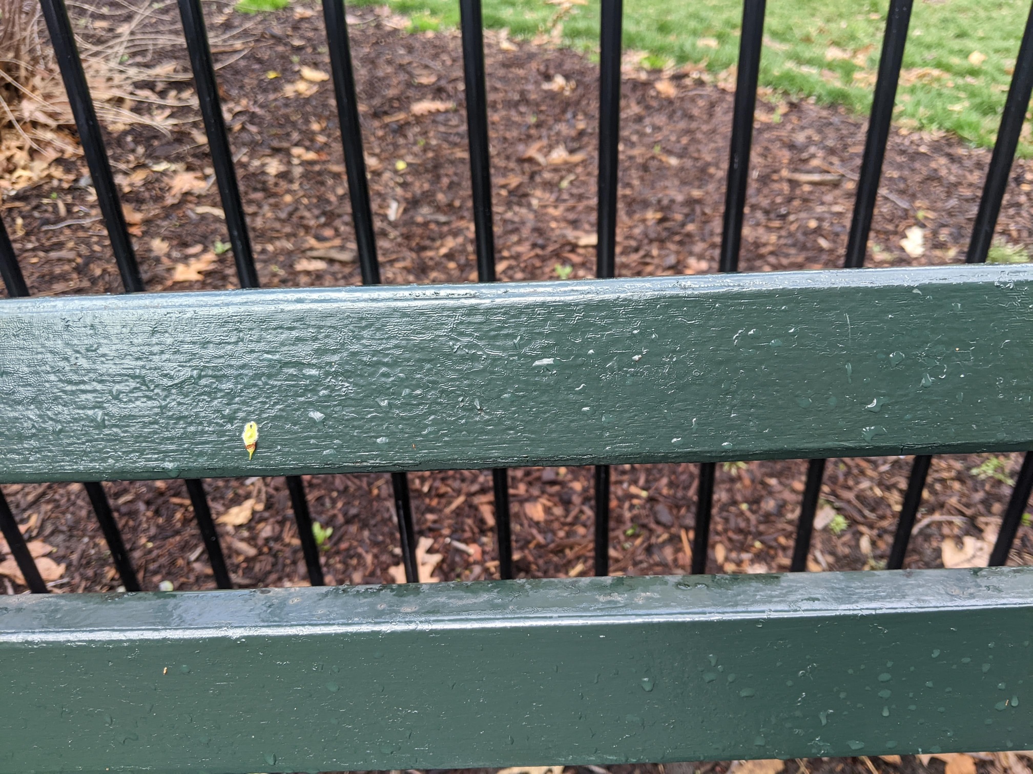 I saw this bench in Central Park