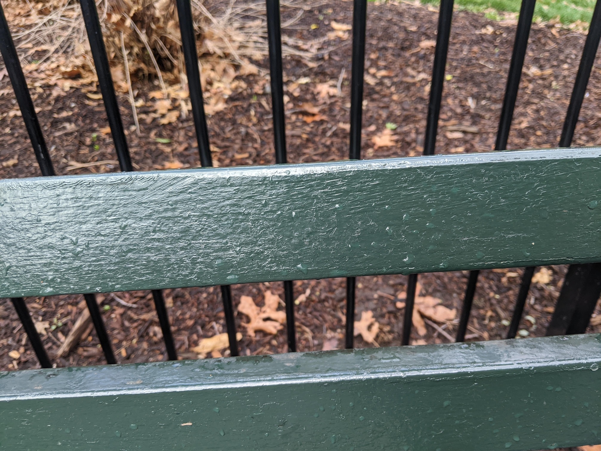 I saw this bench in Central Park