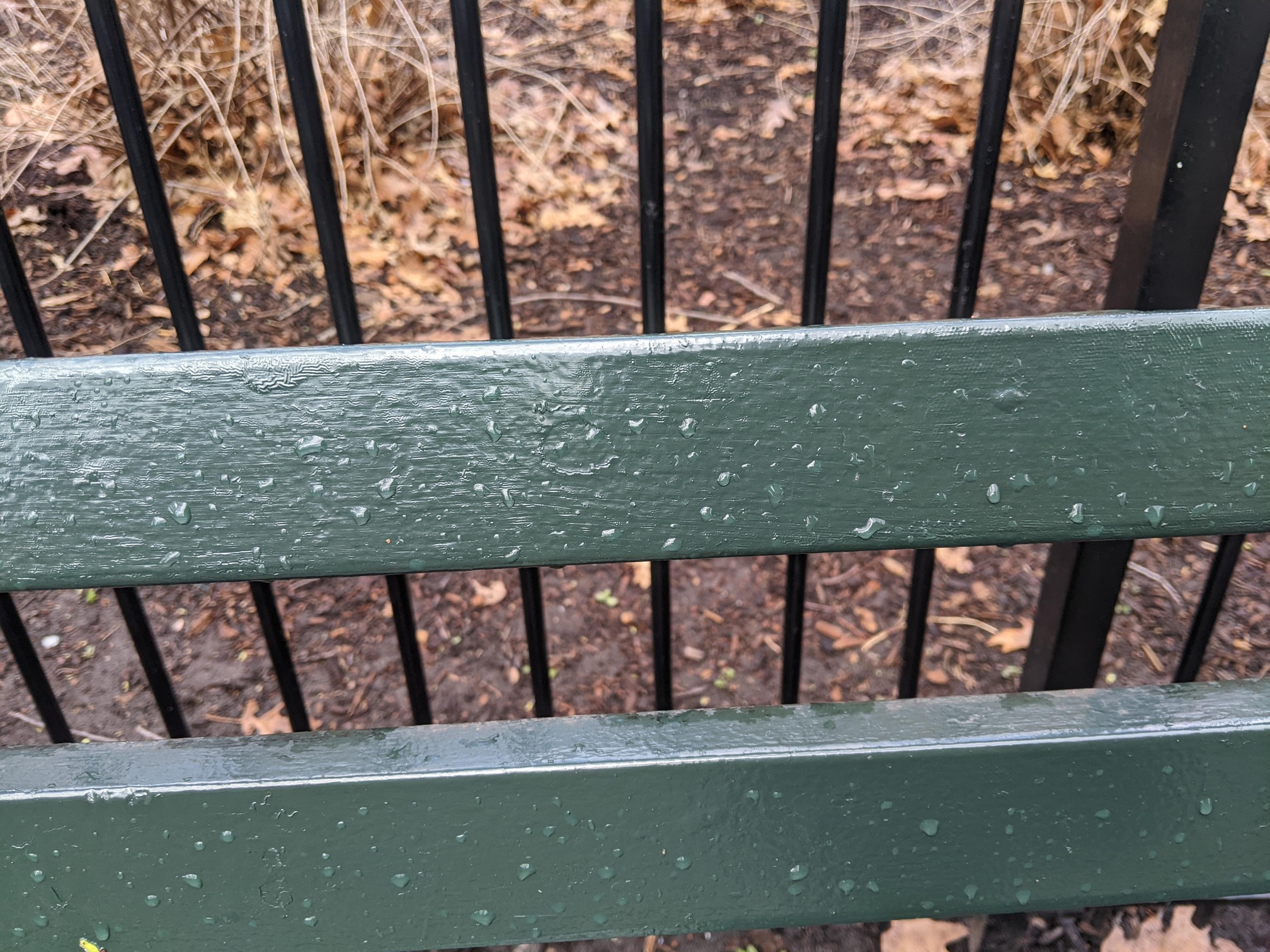 I saw this bench in Central Park