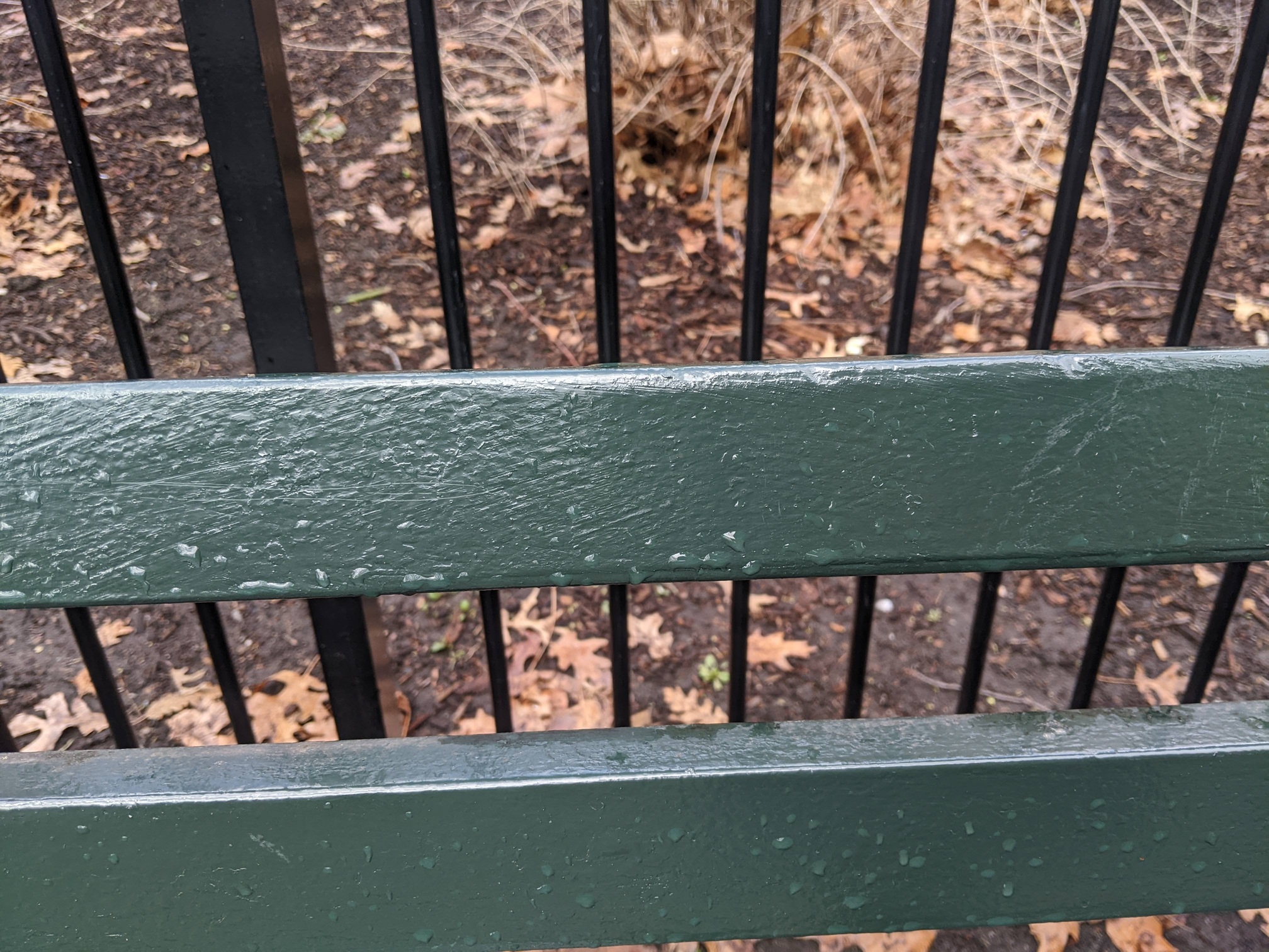 I saw this bench in Central Park