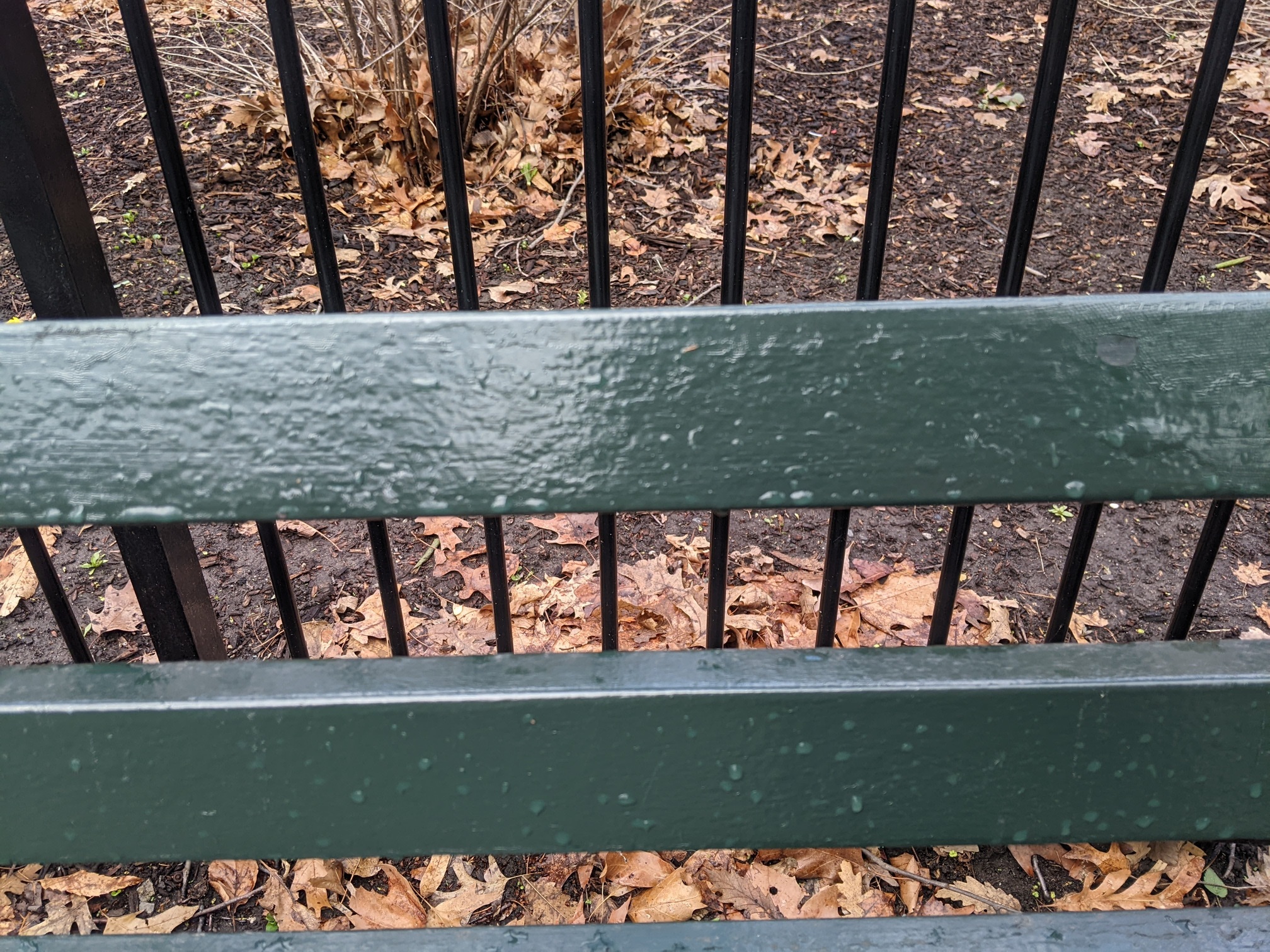 I saw this bench in Central Park