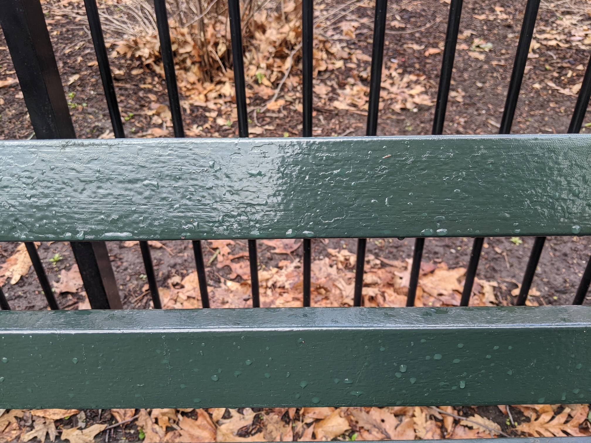 I saw this bench in Central Park