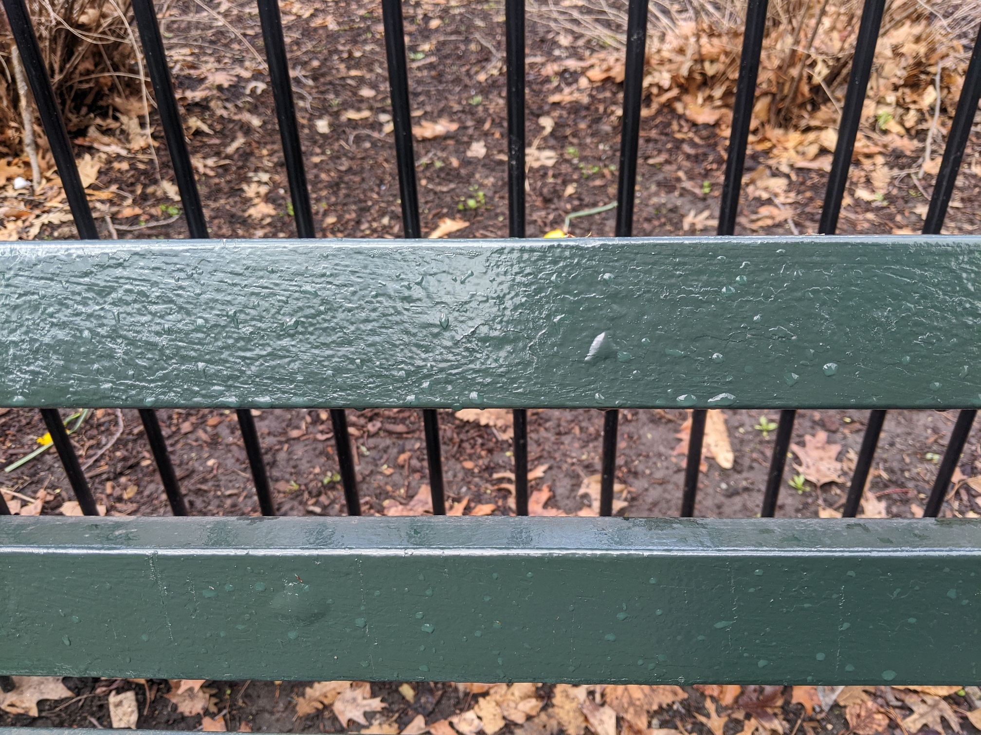 I saw this bench in Central Park