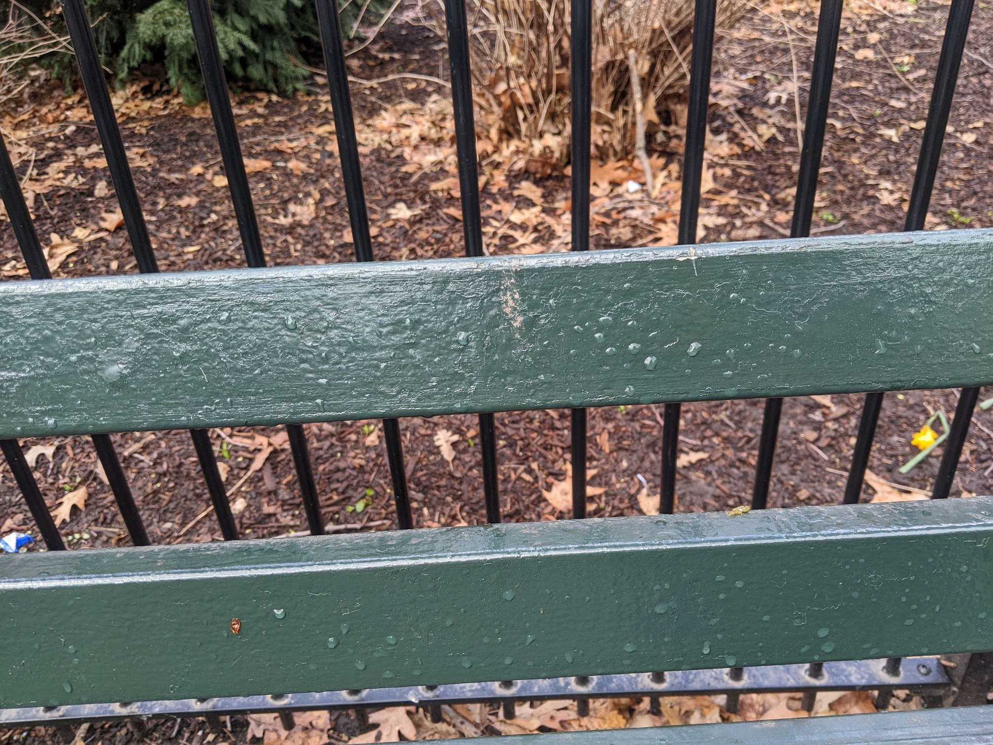 I saw this bench in Central Park