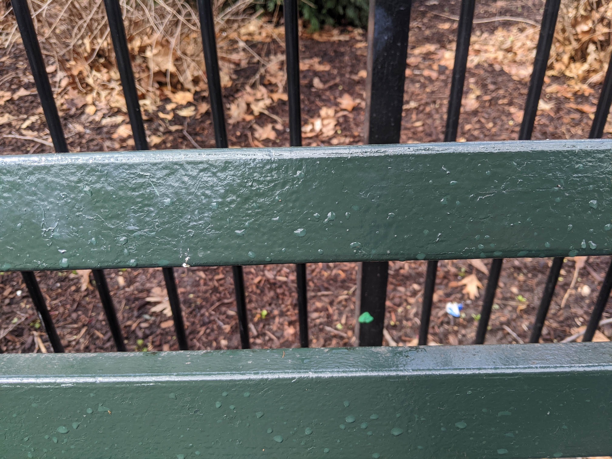 I saw this bench in Central Park